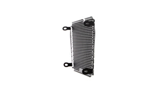 Evotech Radiator Guard - Aprilia Dorsoduro 750 (2017)
