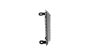Evotech Radiator Guard - Aprilia Dorsoduro 750 (2008 - 2016)