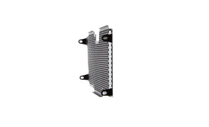 Evotech Radiator Guard - BMW R 1200 R (2015 - 2018)