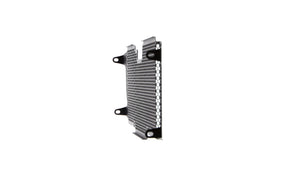 Evotech Radiator Guard - BMW R 1250 RS (2019 - 2021)