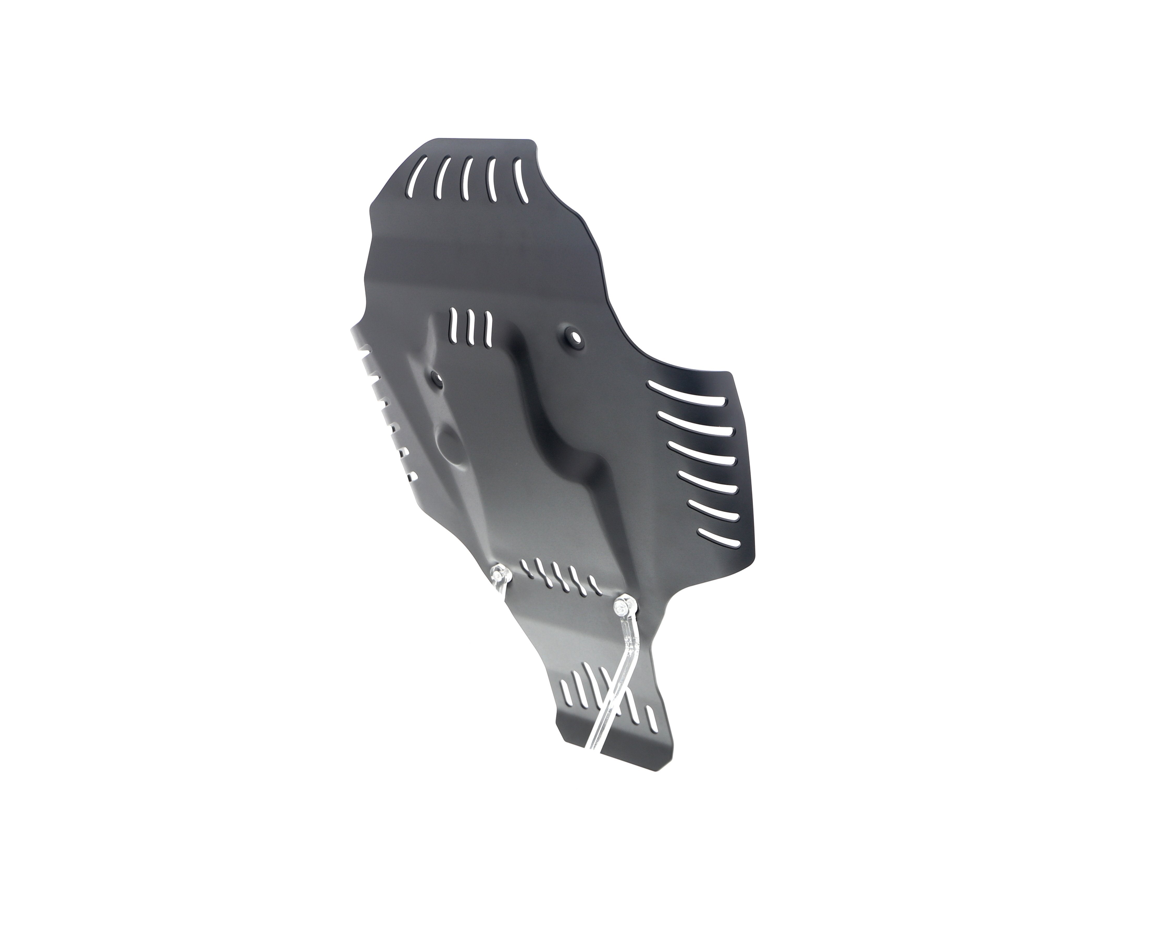 Evotech BMW R nineT Racer Engine Guard (2017+)