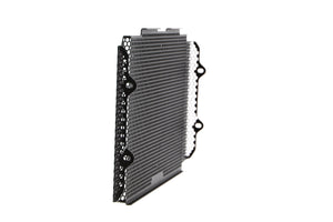 Evotech Radiator Guard - Honda CB1000R Neo Sports Cafe (2018 - 2020)