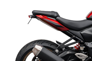 Evotech Tail Tidy (Red Rear Light) - Triumph Trident 800 (2026+)