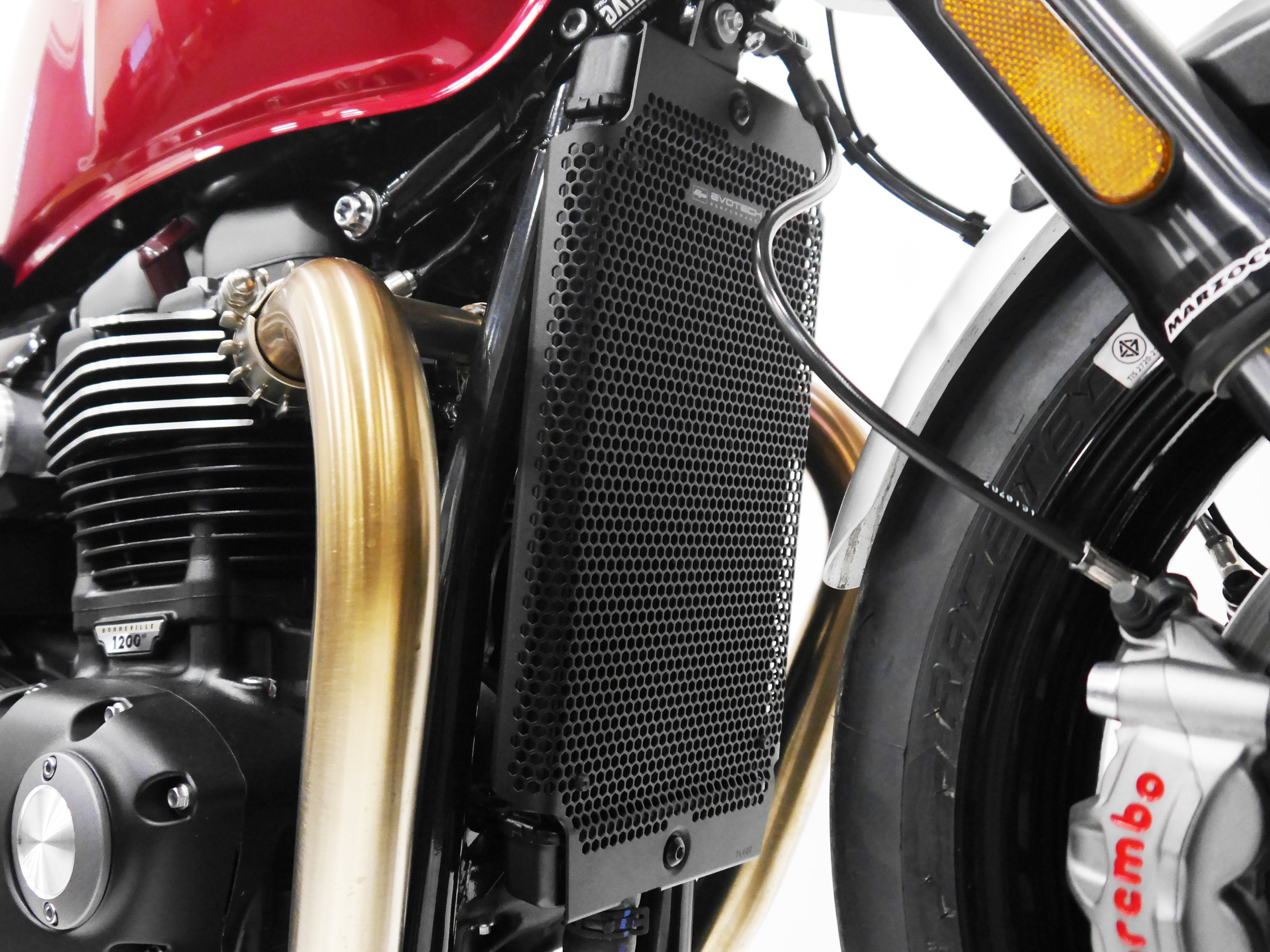 Evotech Radiator Guard - Triumph Speed Twin 900 (2023 - 2024)