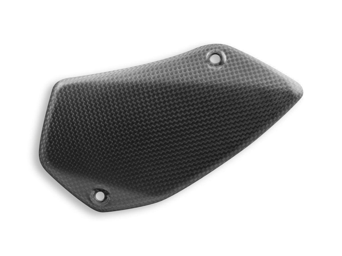 CRB125O - MATT CARBON SWINGARM PROT. COVER MTS V4 PIKES PEAK