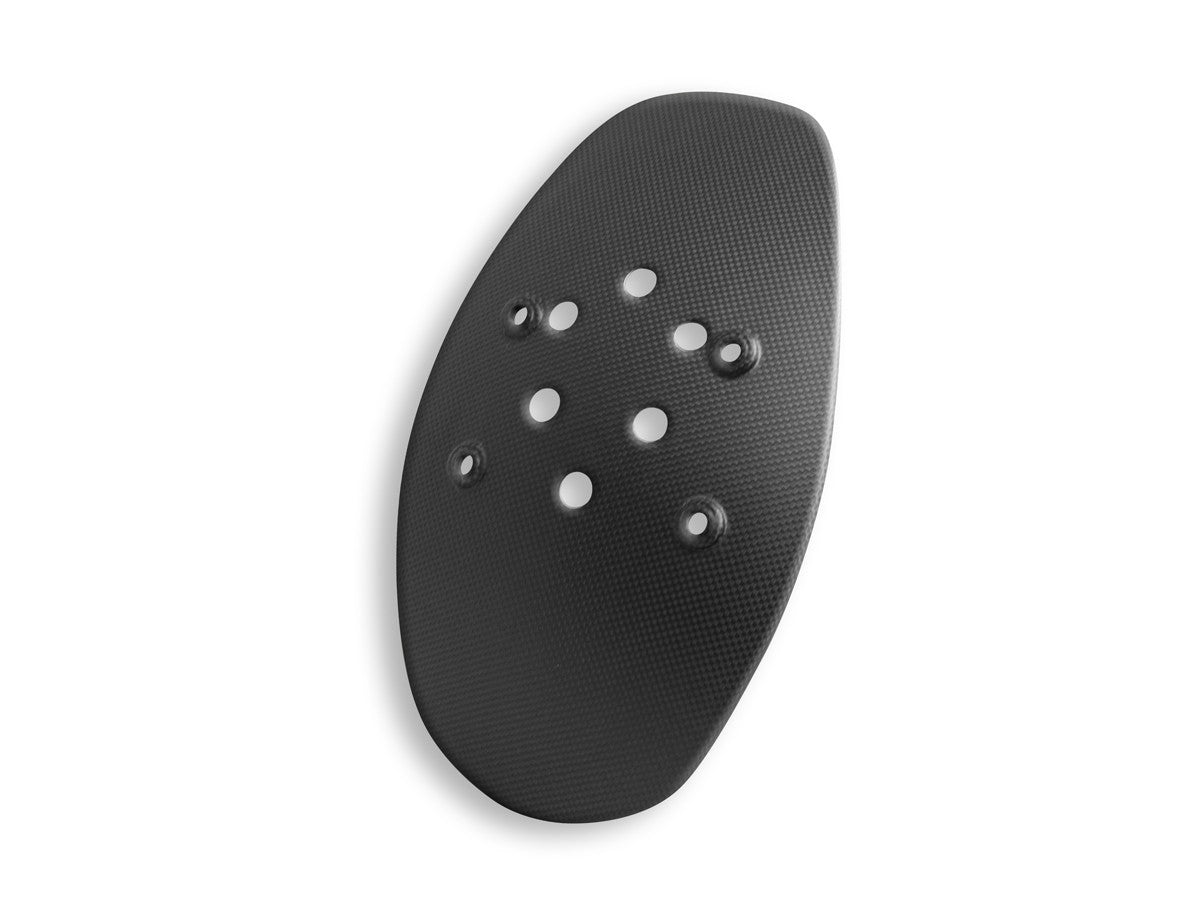 CRB95O - DIAVEL 1260/V4 MATT CARBON NUMBER PLATE FENDER