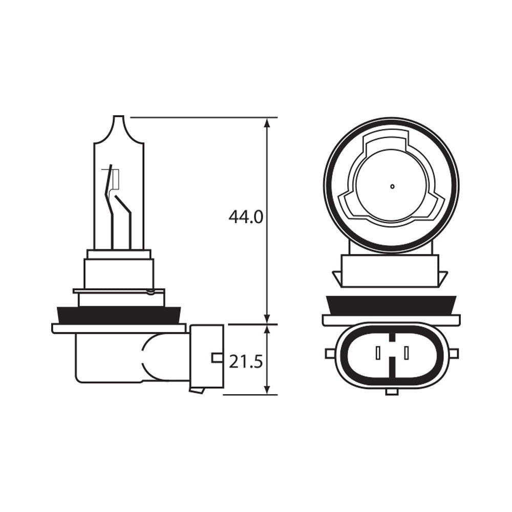 Bulb 12V 65W H9 (1)