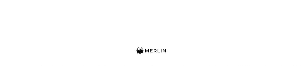 MERLIN logo background