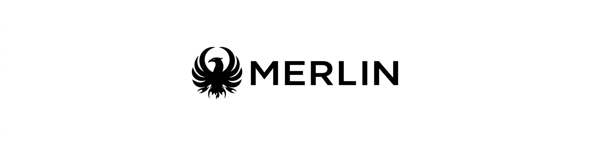 MERLIN logo background