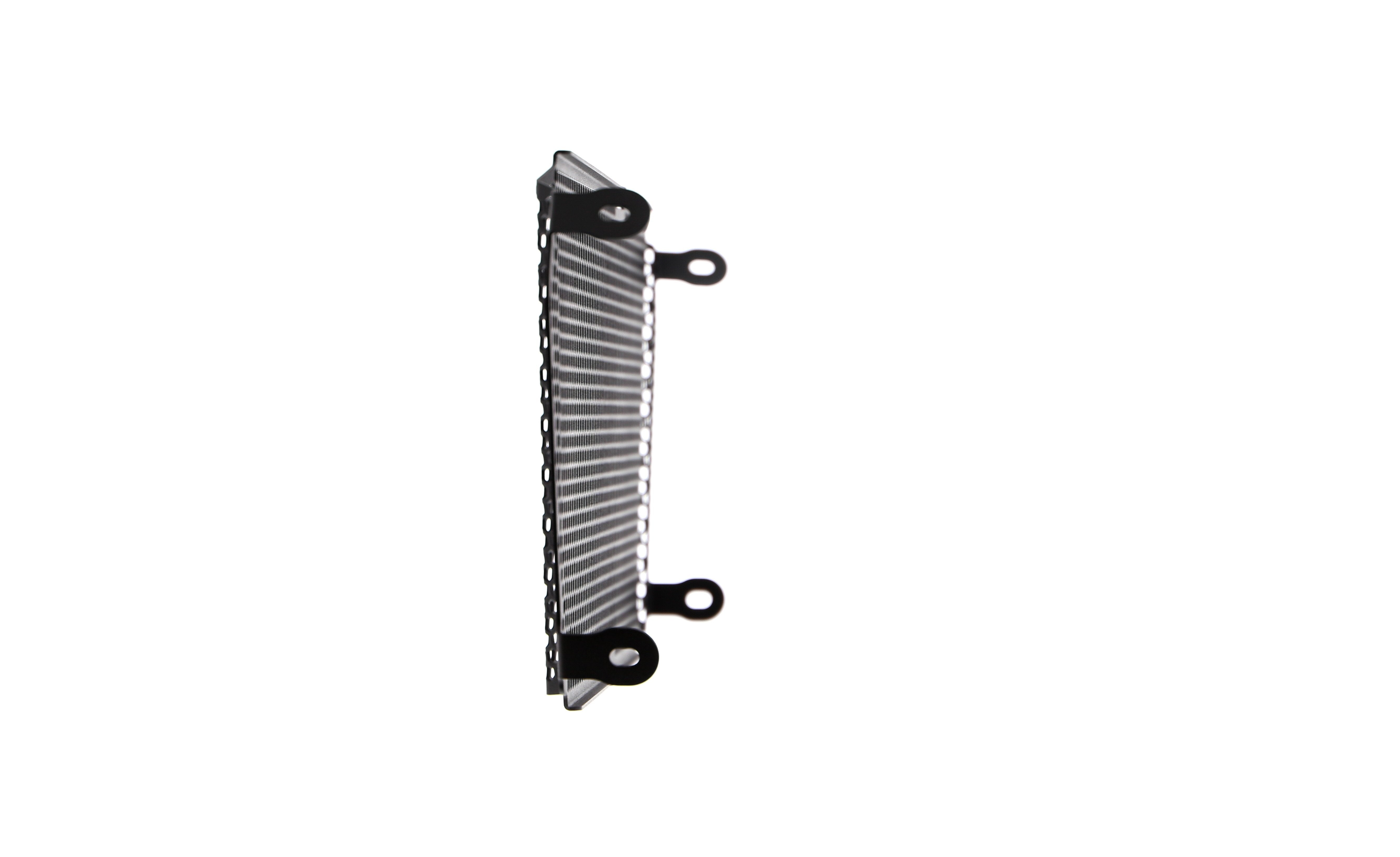 Evotech Aprilia Shiver SL 750 Radiator Guard (2017)