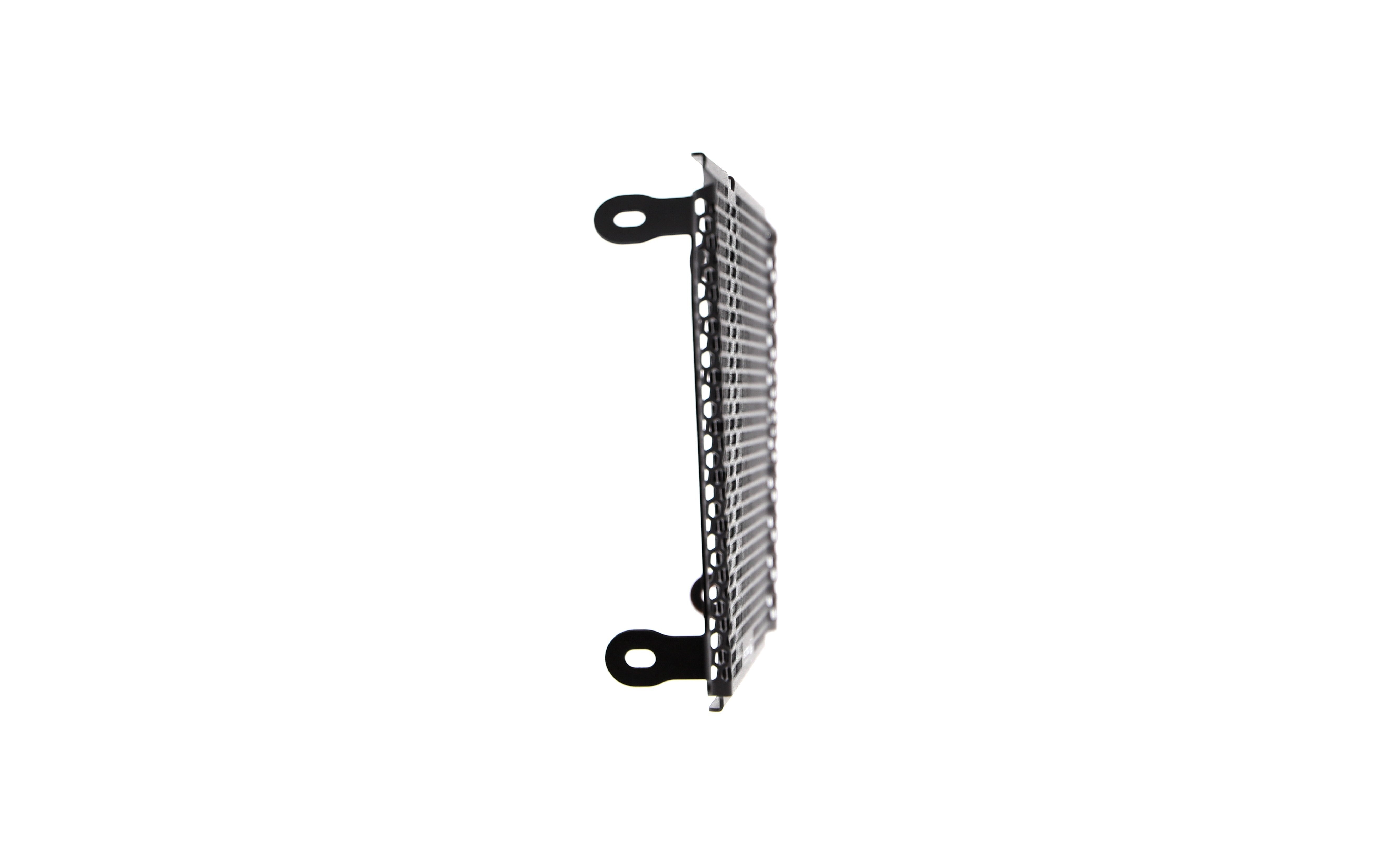 Evotech Radiator Guard - Aprilia Dorsoduro 750 (2017)