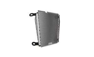 Evotech Radiator Guard - Aprilia Dorsoduro 750 (2017)