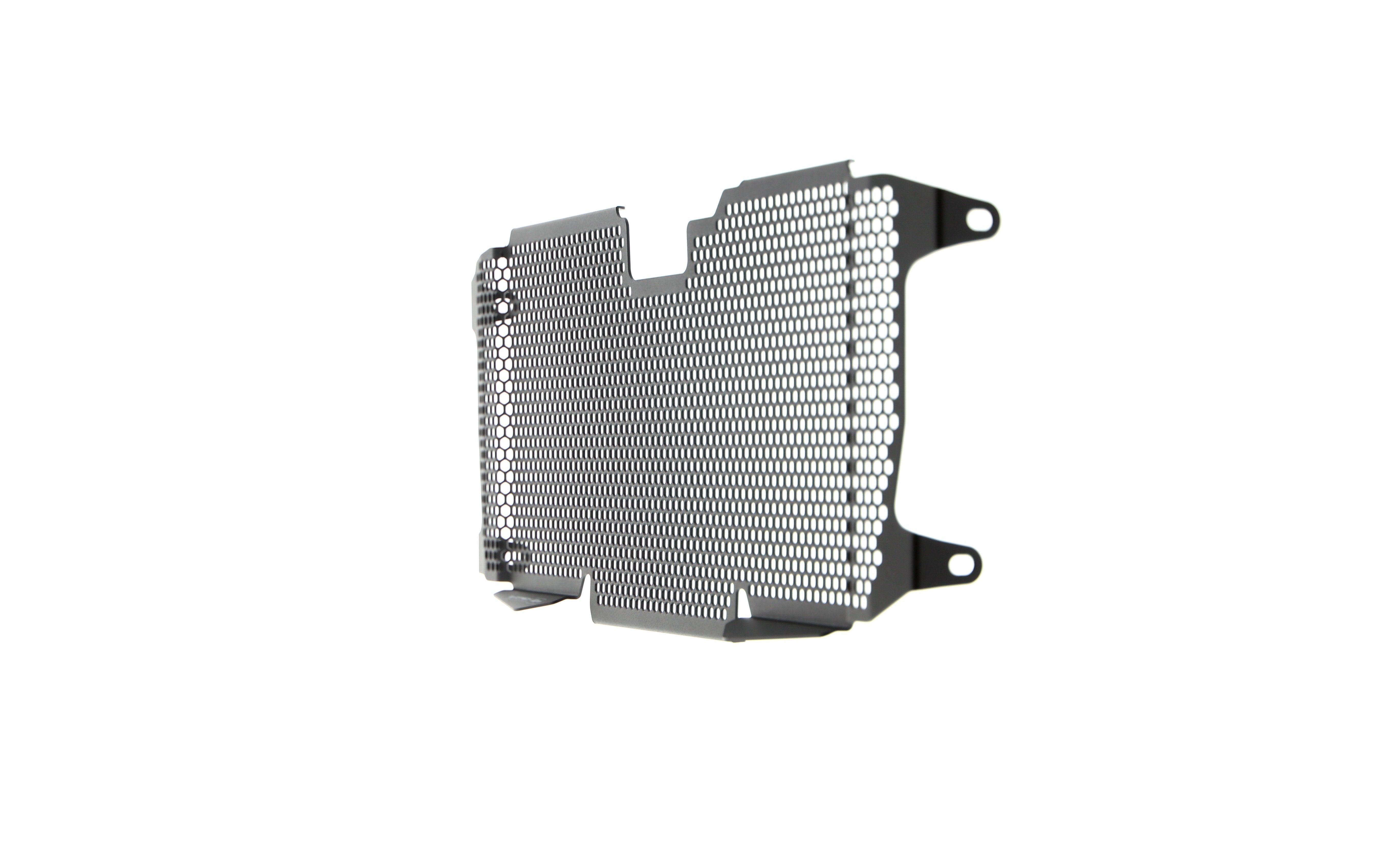 Evotech Radiator Guard - BMW R 1250 RS (2019 - 2021)
