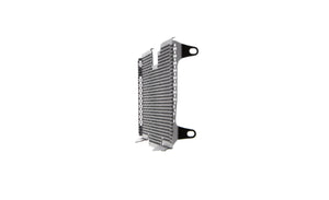 Evotech Radiator Guard - BMW R 1200 R (2015 - 2018)