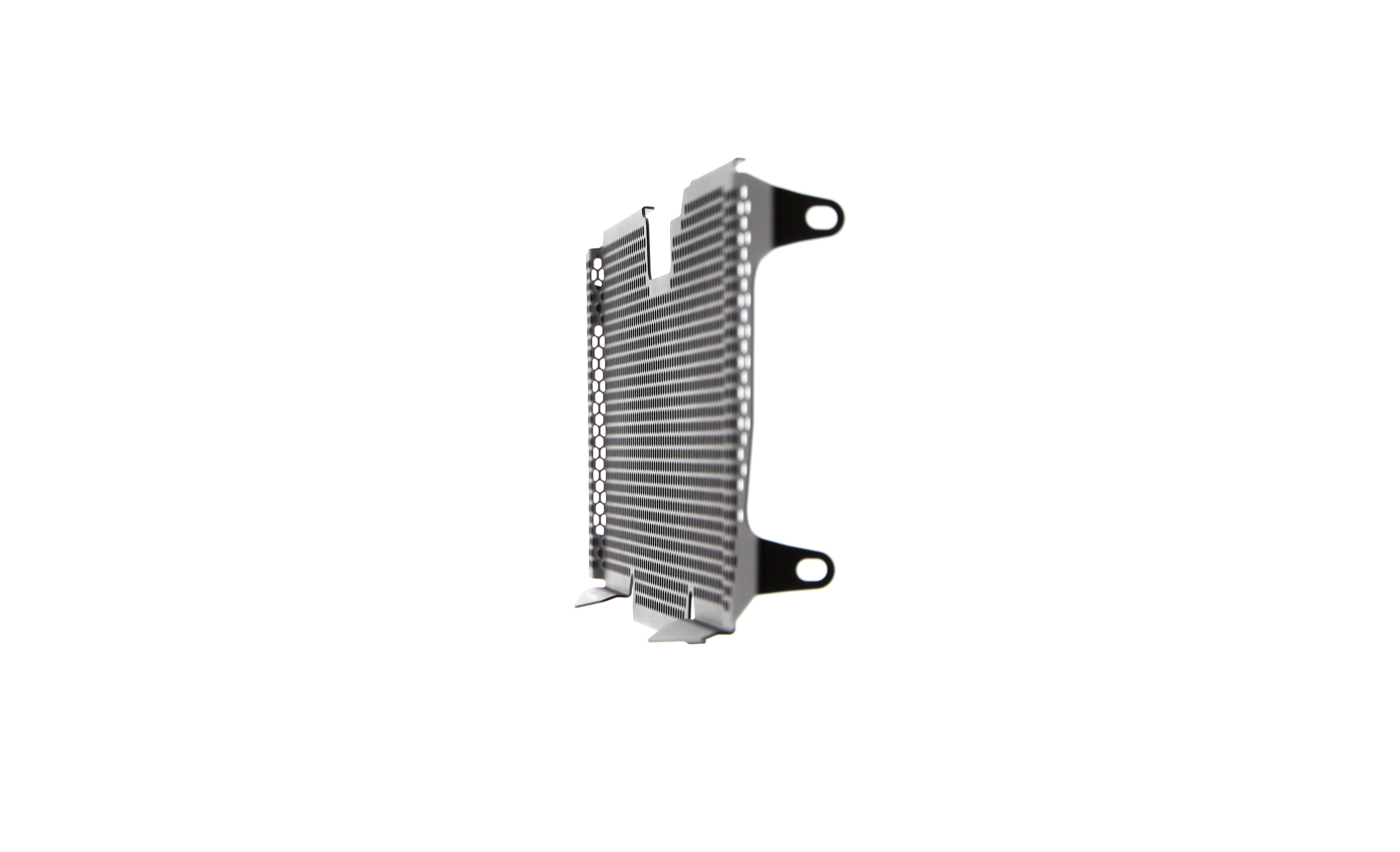 Evotech Radiator Guard - BMW R 1200 R (2015 - 2018)