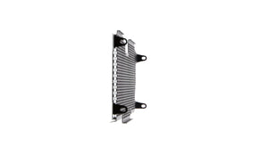 Evotech Radiator Guard - BMW R 1250 R (2019+)