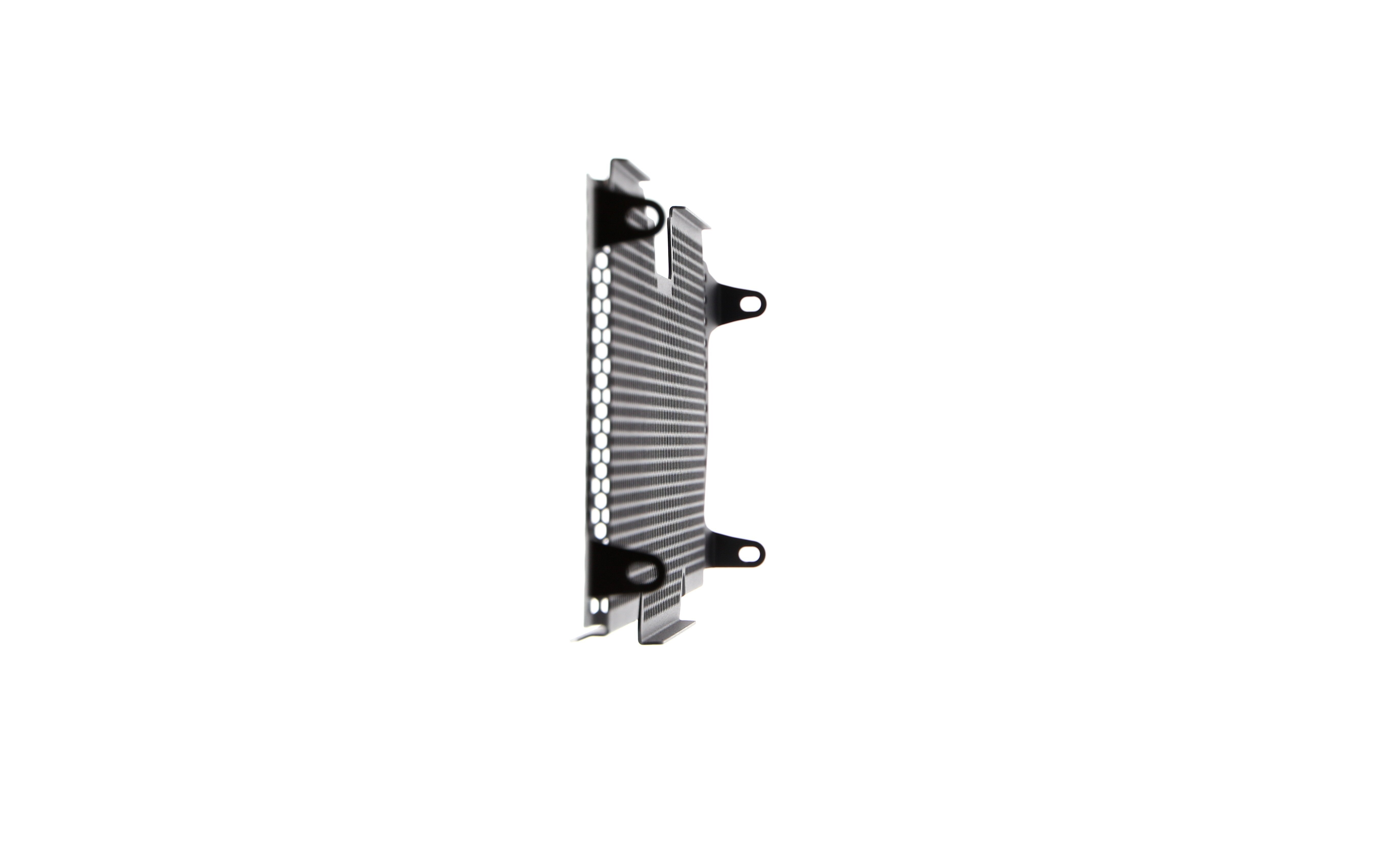 Evotech Radiator Guard - BMW R 1250 R (2019+)