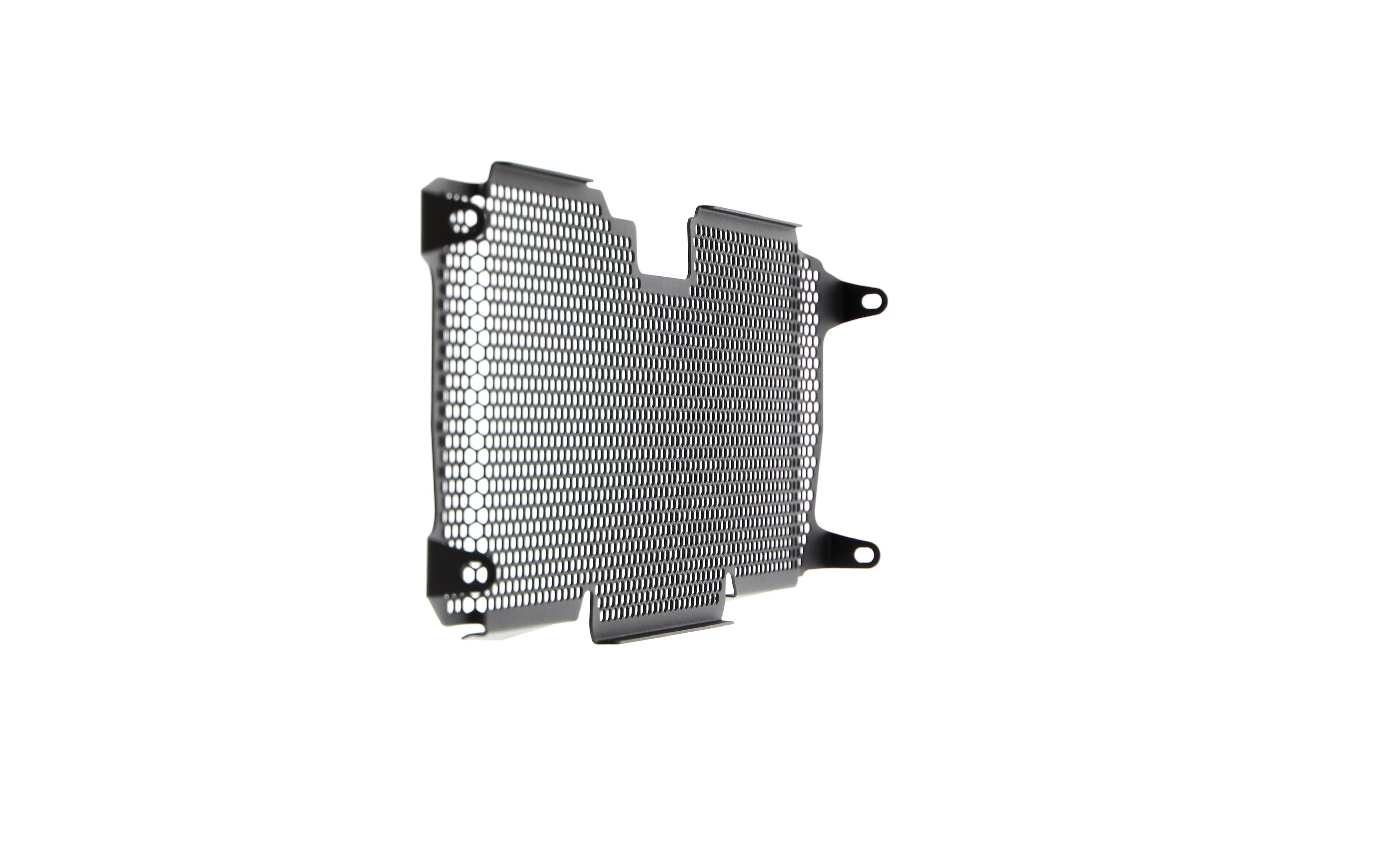 Evotech Radiator Guard - BMW R 1200 RS (2015 - 2018)