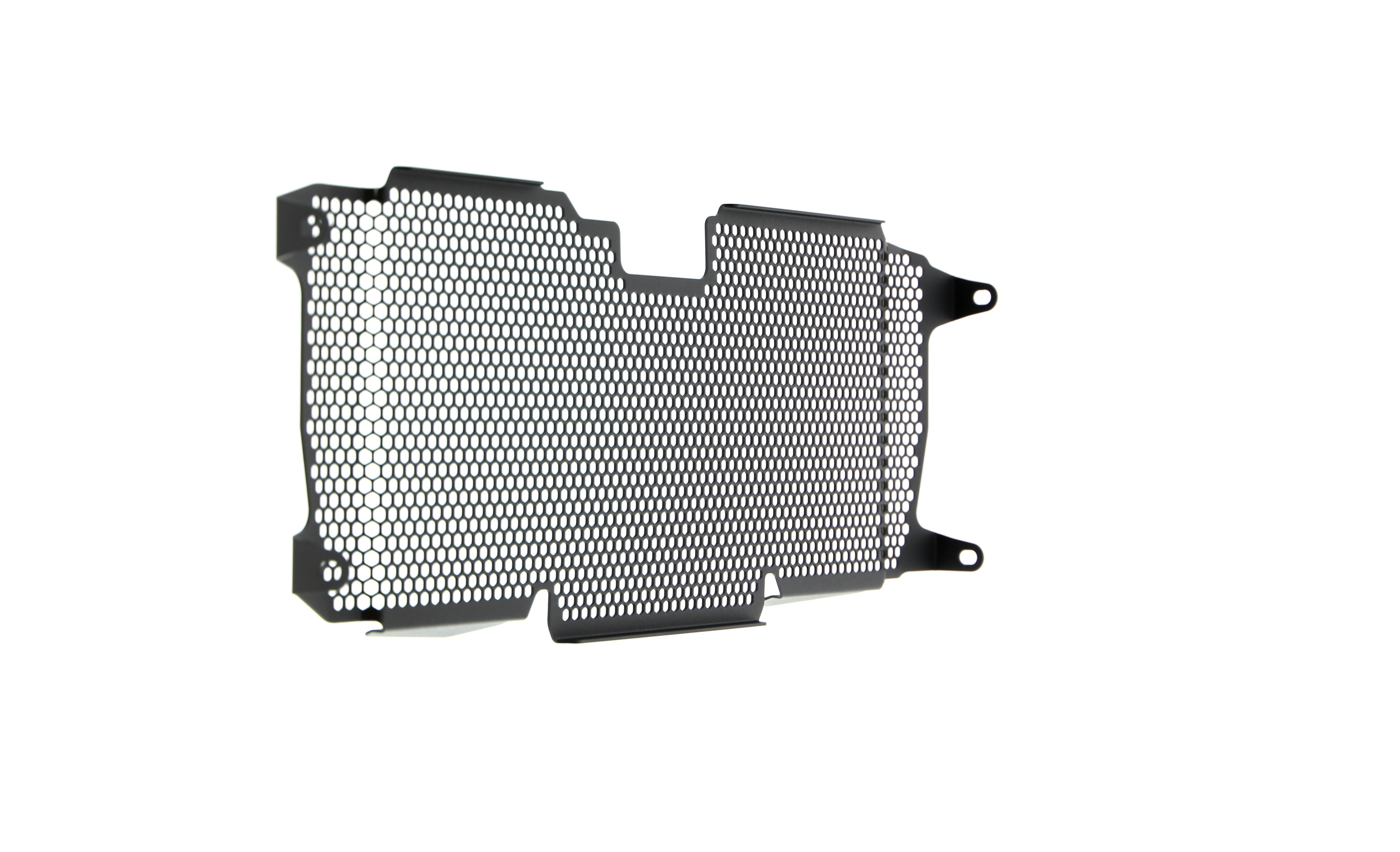 Evotech Radiator Guard - BMW R 1250 R (2019+)