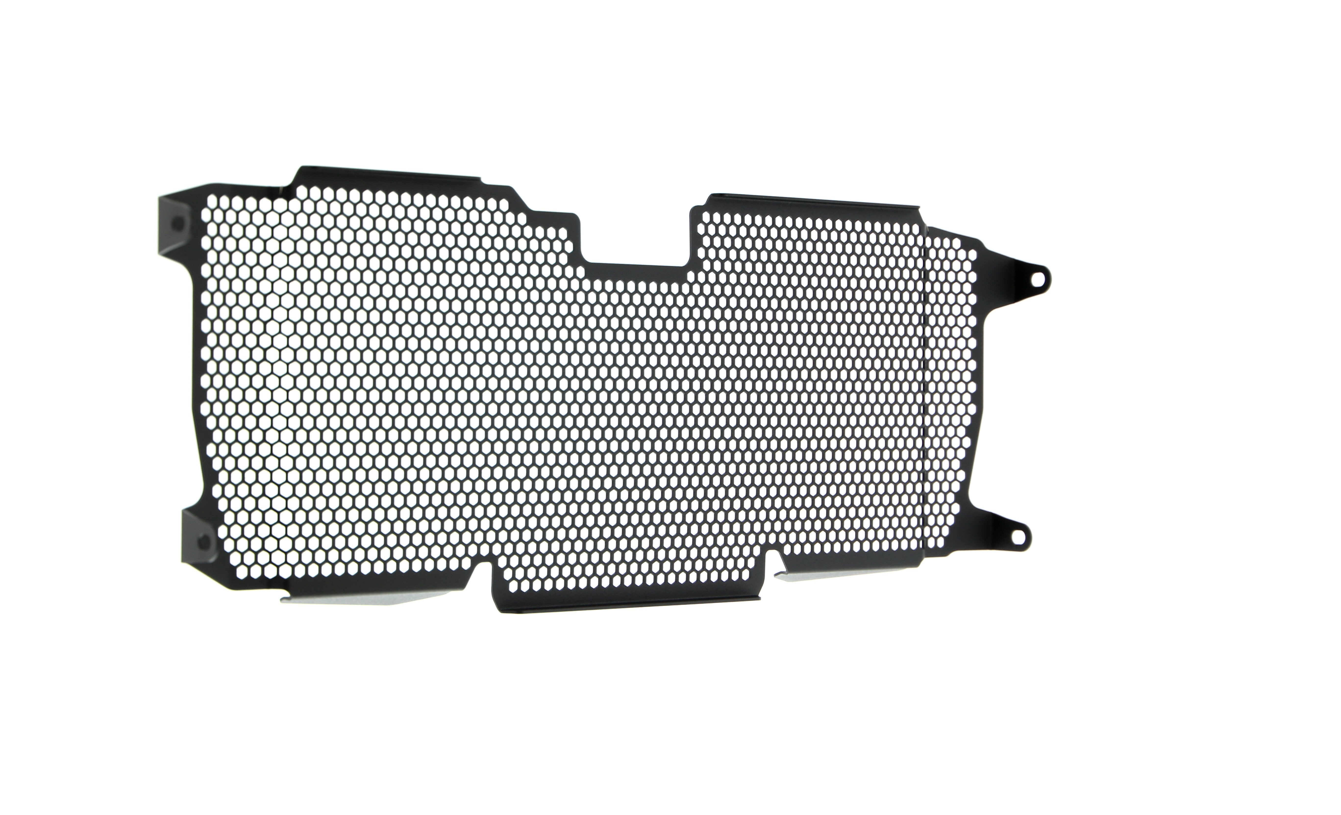 Evotech Radiator Guard - BMW R 1250 R (2019+)