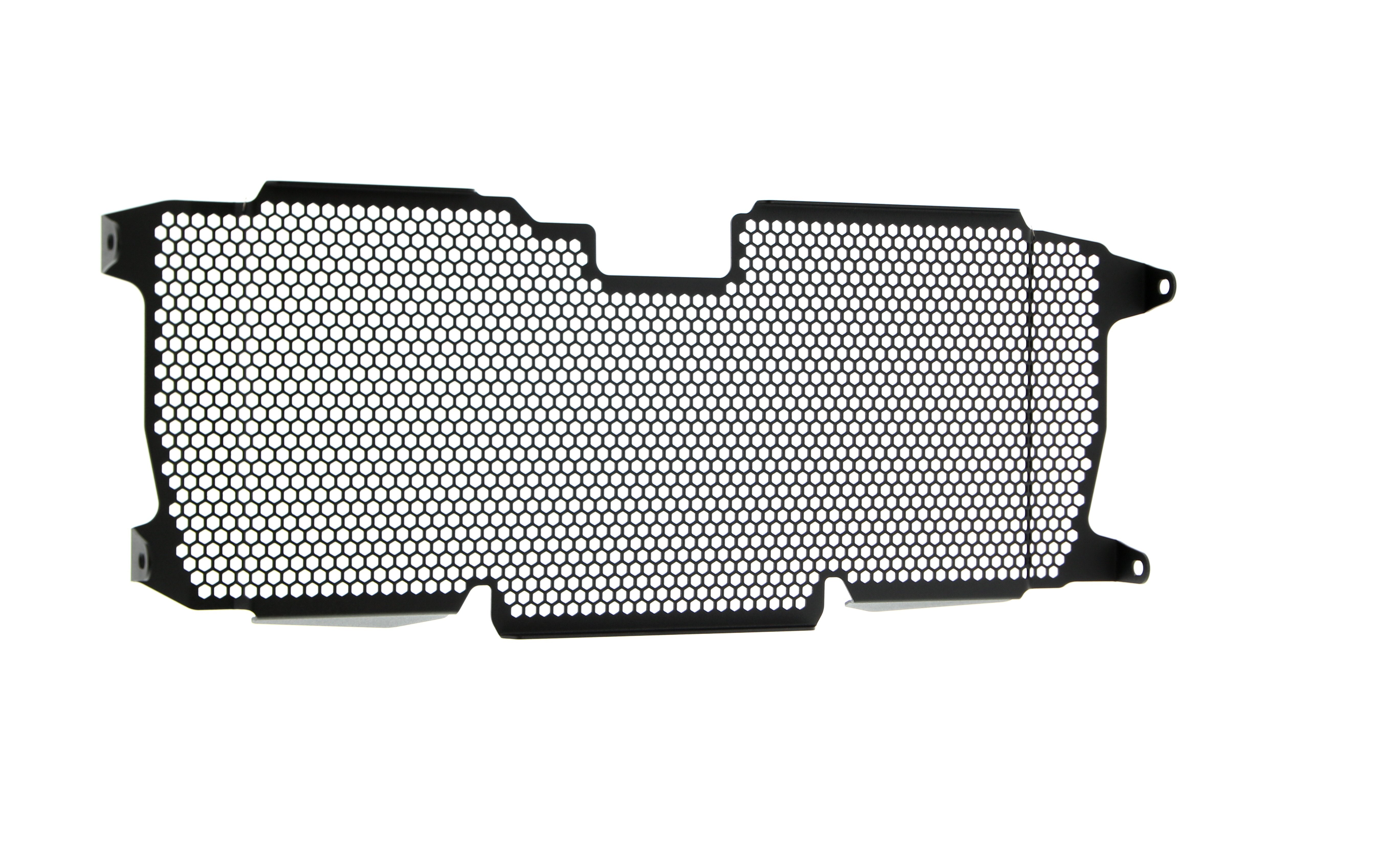 Evotech Radiator Guard - BMW R 1200 R (2015 - 2018)