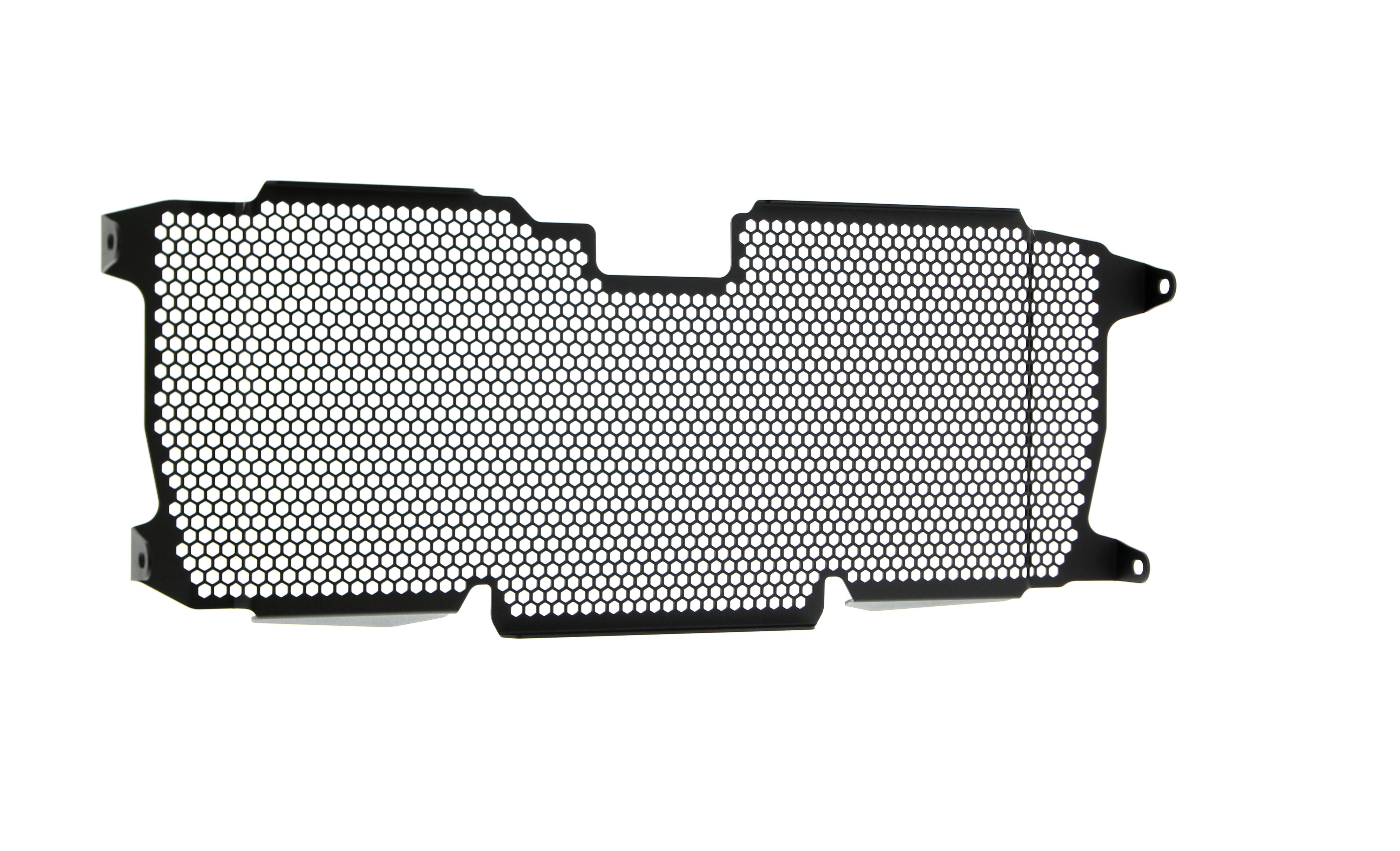 Evotech Radiator Guard - BMW R 1250 RS (2019 - 2021)