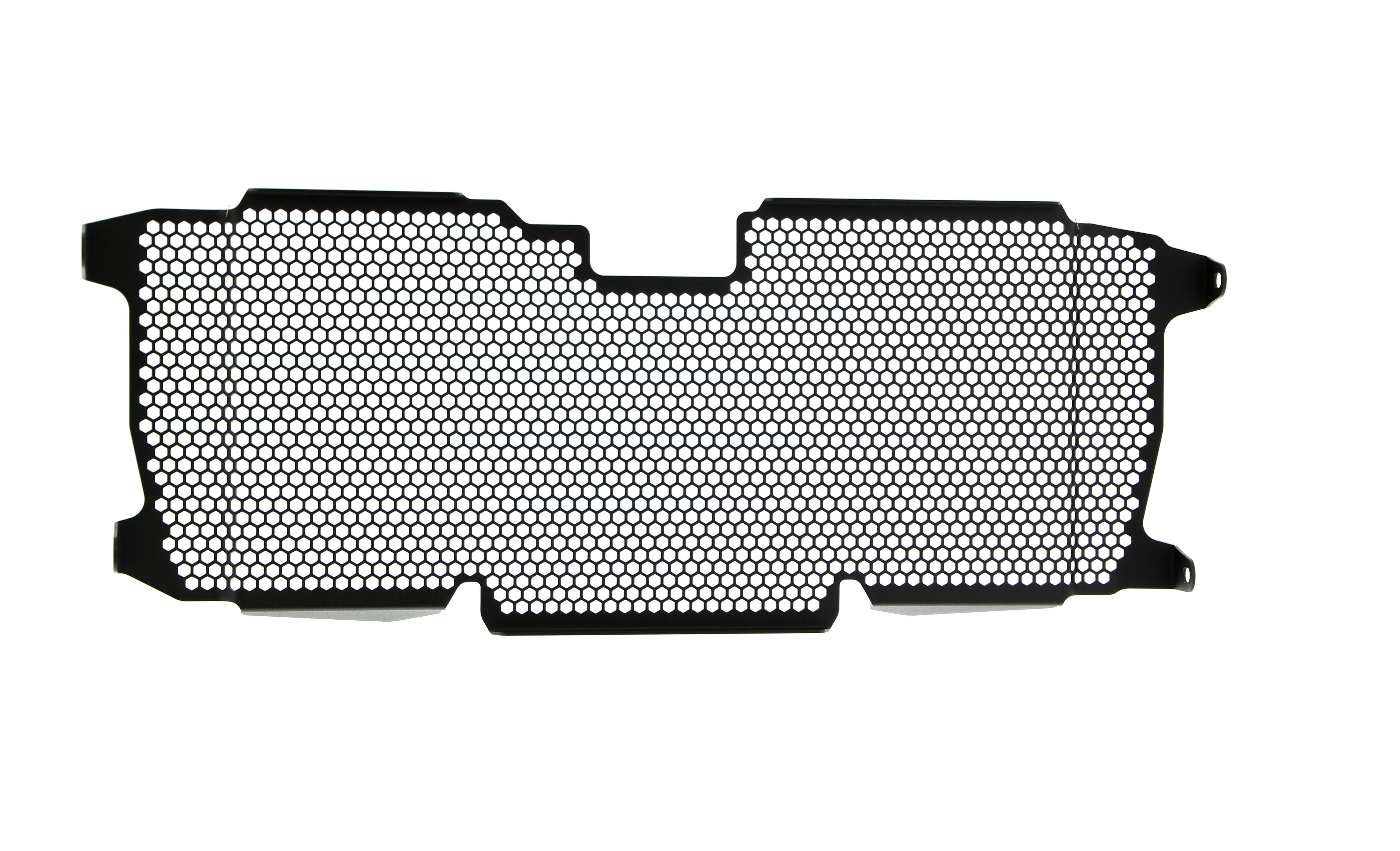 Evotech Radiator Guard - BMW R 1200 R (2015 - 2018)
