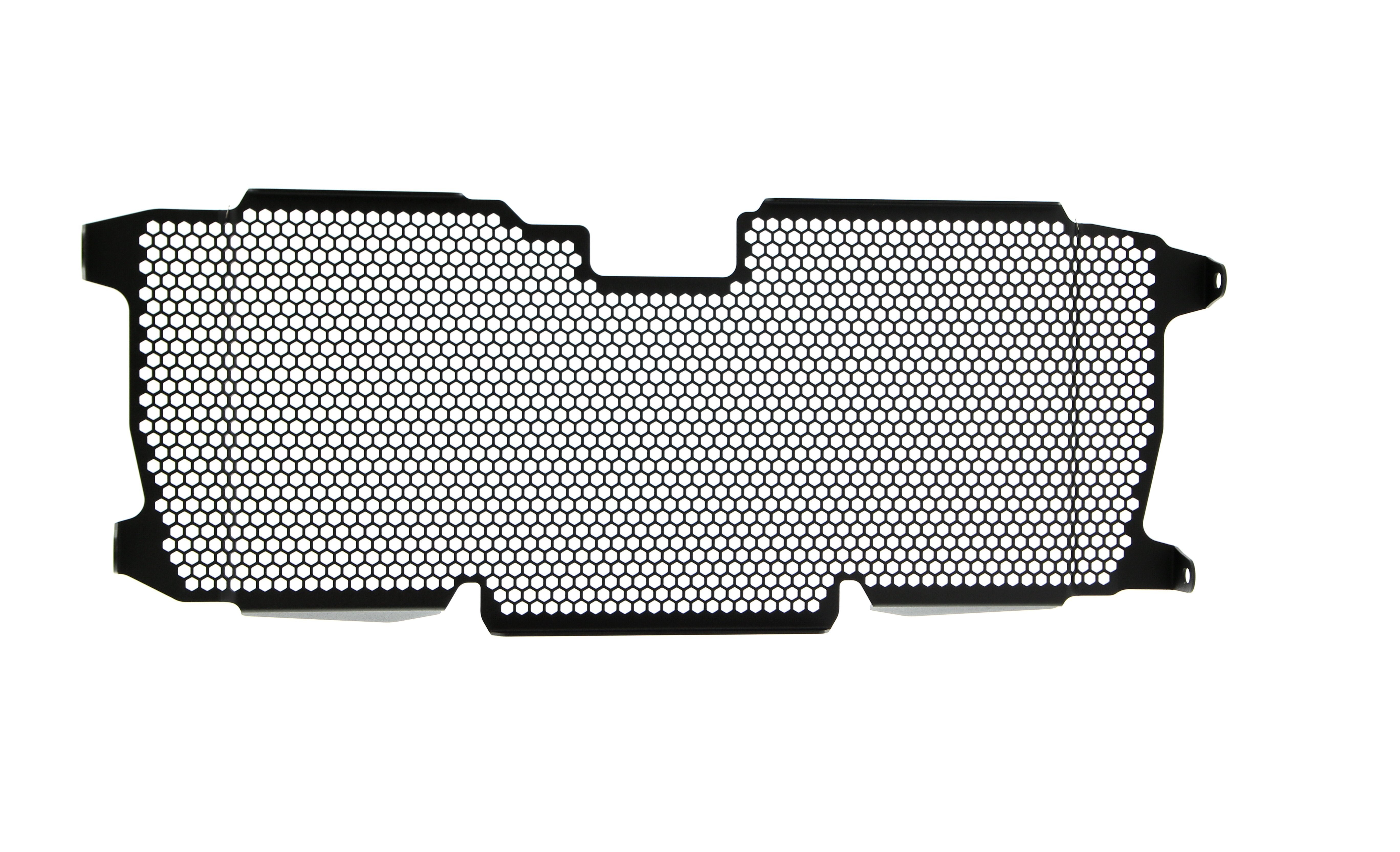 Evotech Radiator Guard - BMW R 1250 R Exclusive (2019+)