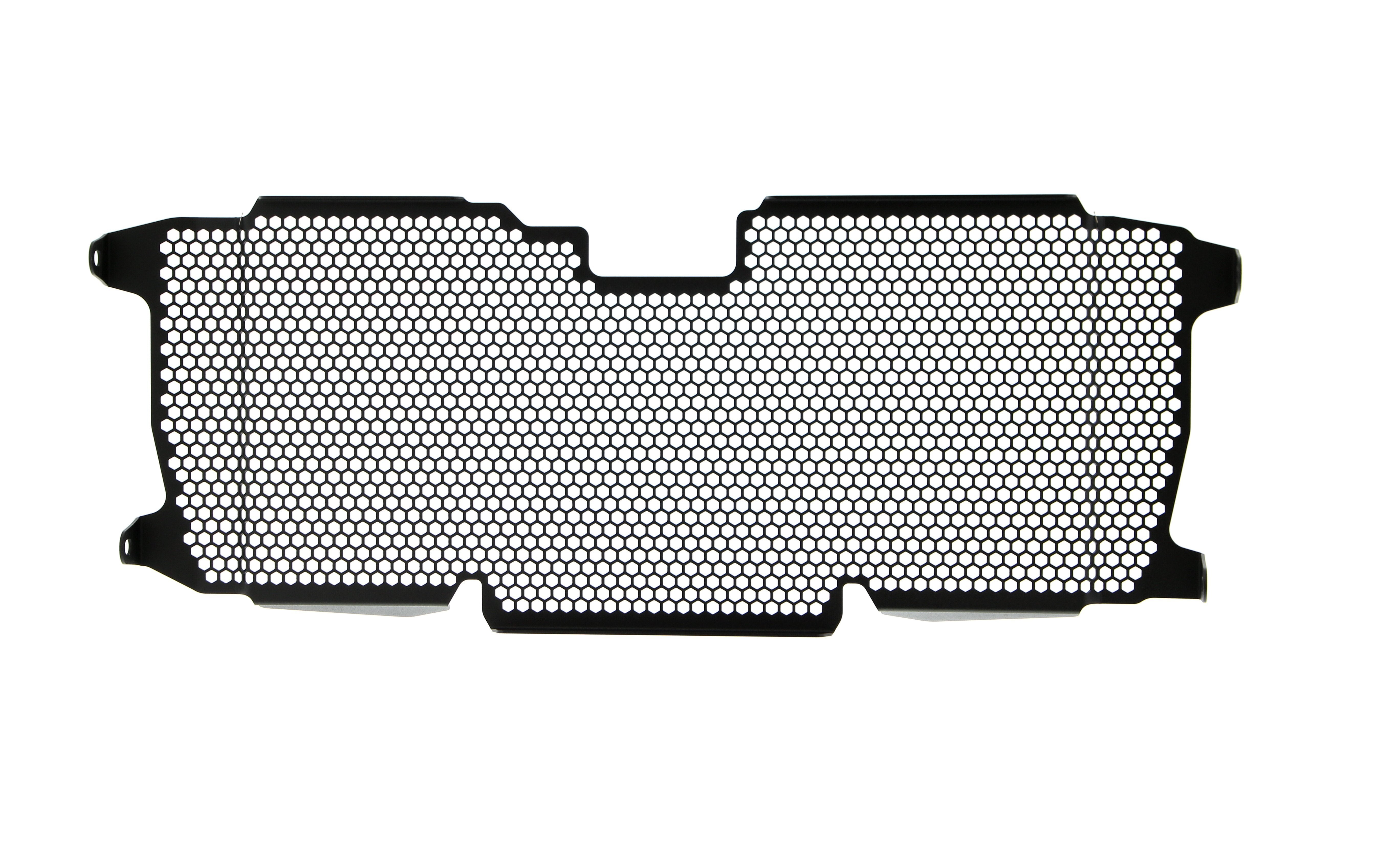 Evotech Radiator Guard - BMW R 1250 R (2019+)