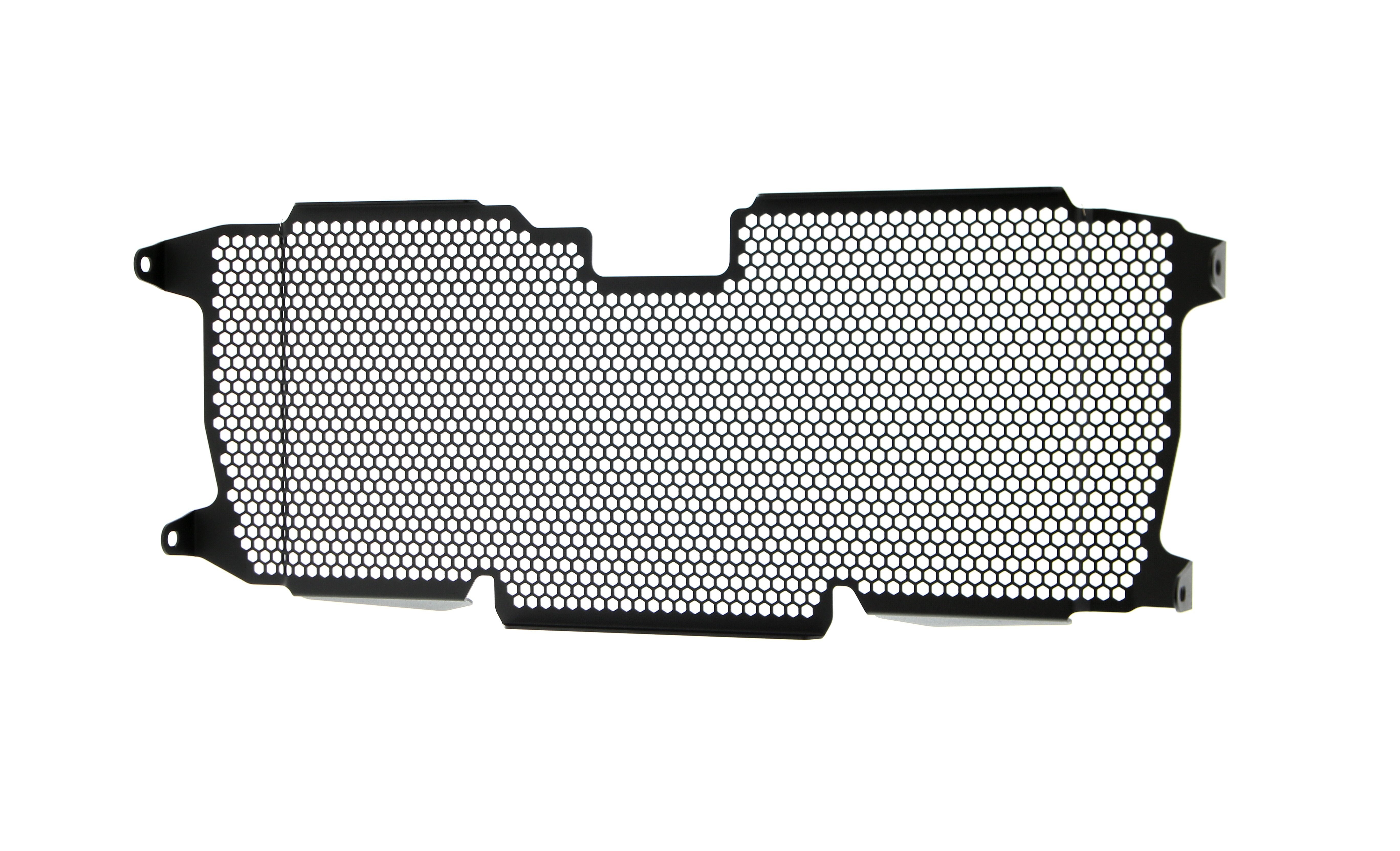 Evotech Radiator Guard - BMW R 1250 RS (2019 - 2021)