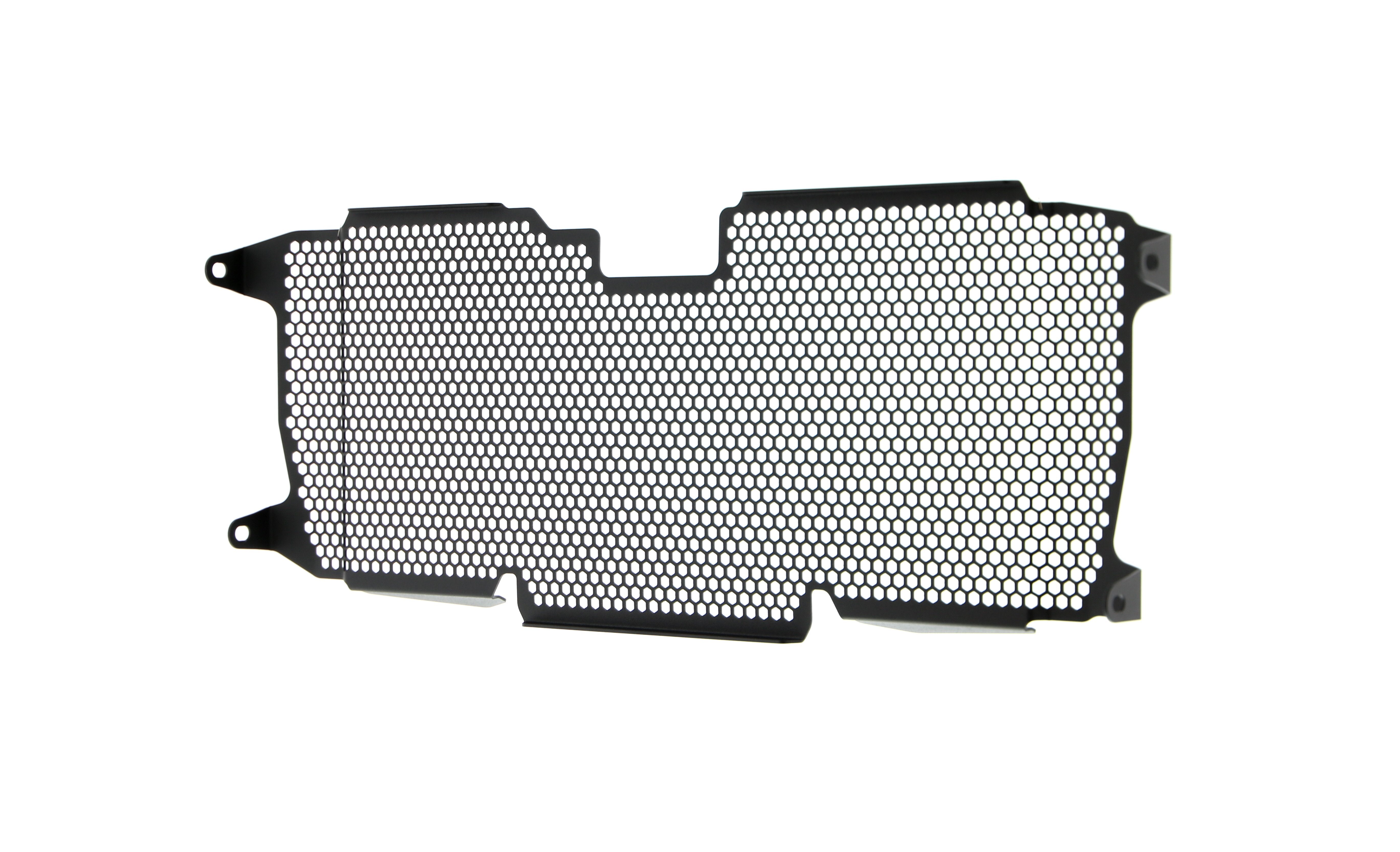 Evotech Radiator Guard - BMW R 1200 R (2015 - 2018)