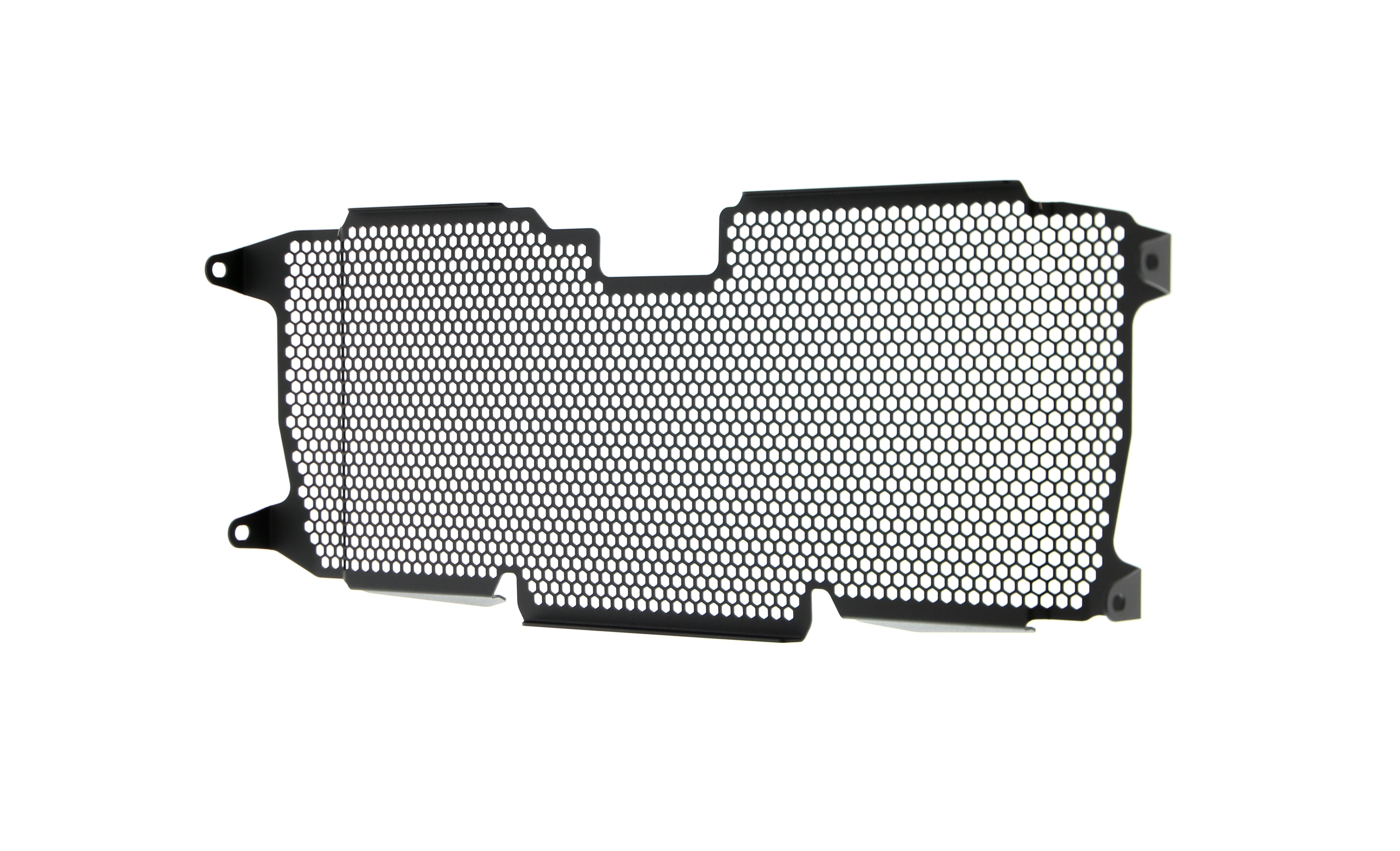 Evotech Radiator Guard - BMW R 1250 R Exclusive (2019+)