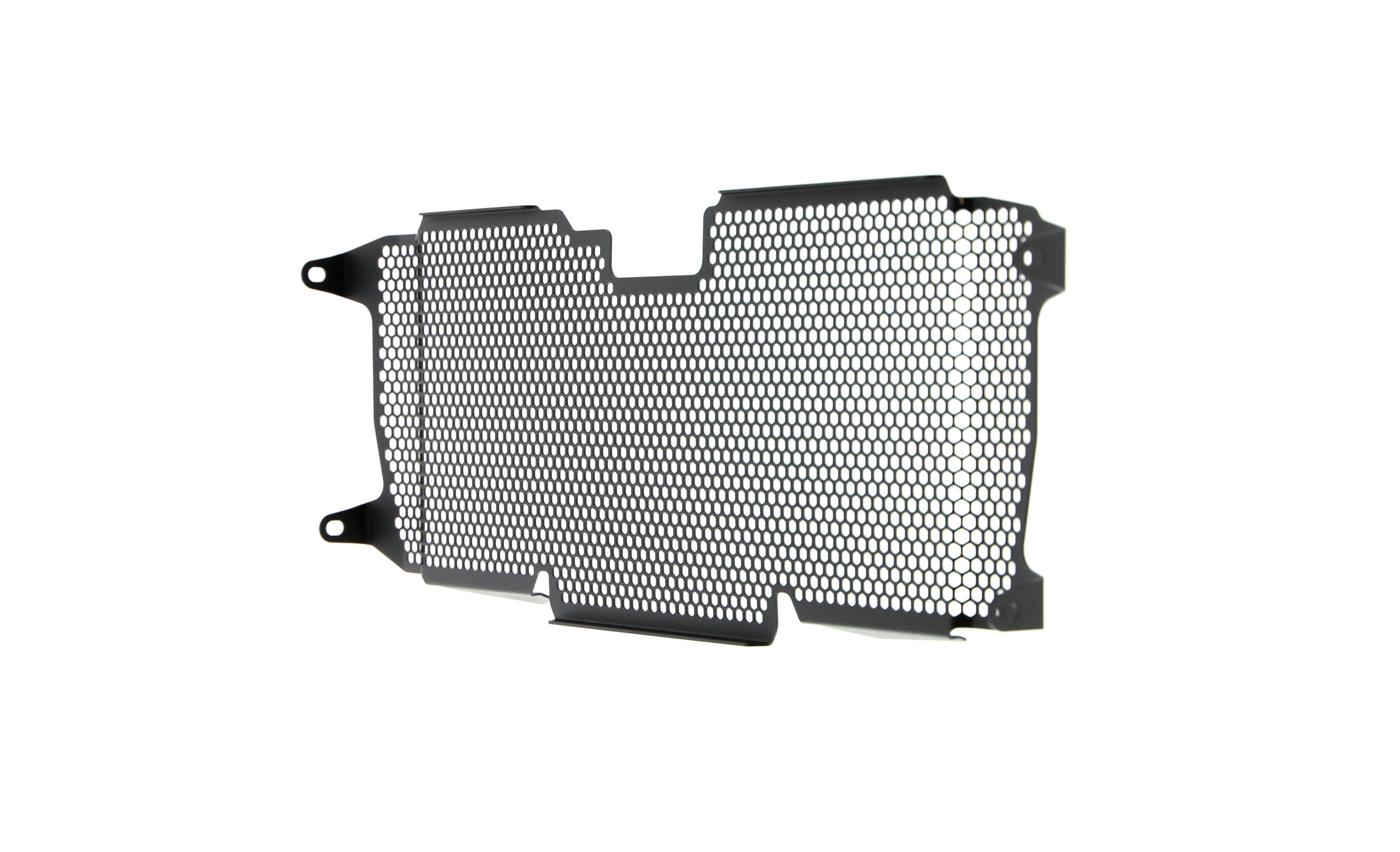 Evotech Radiator Guard - BMW R 1200 R (2015 - 2018)