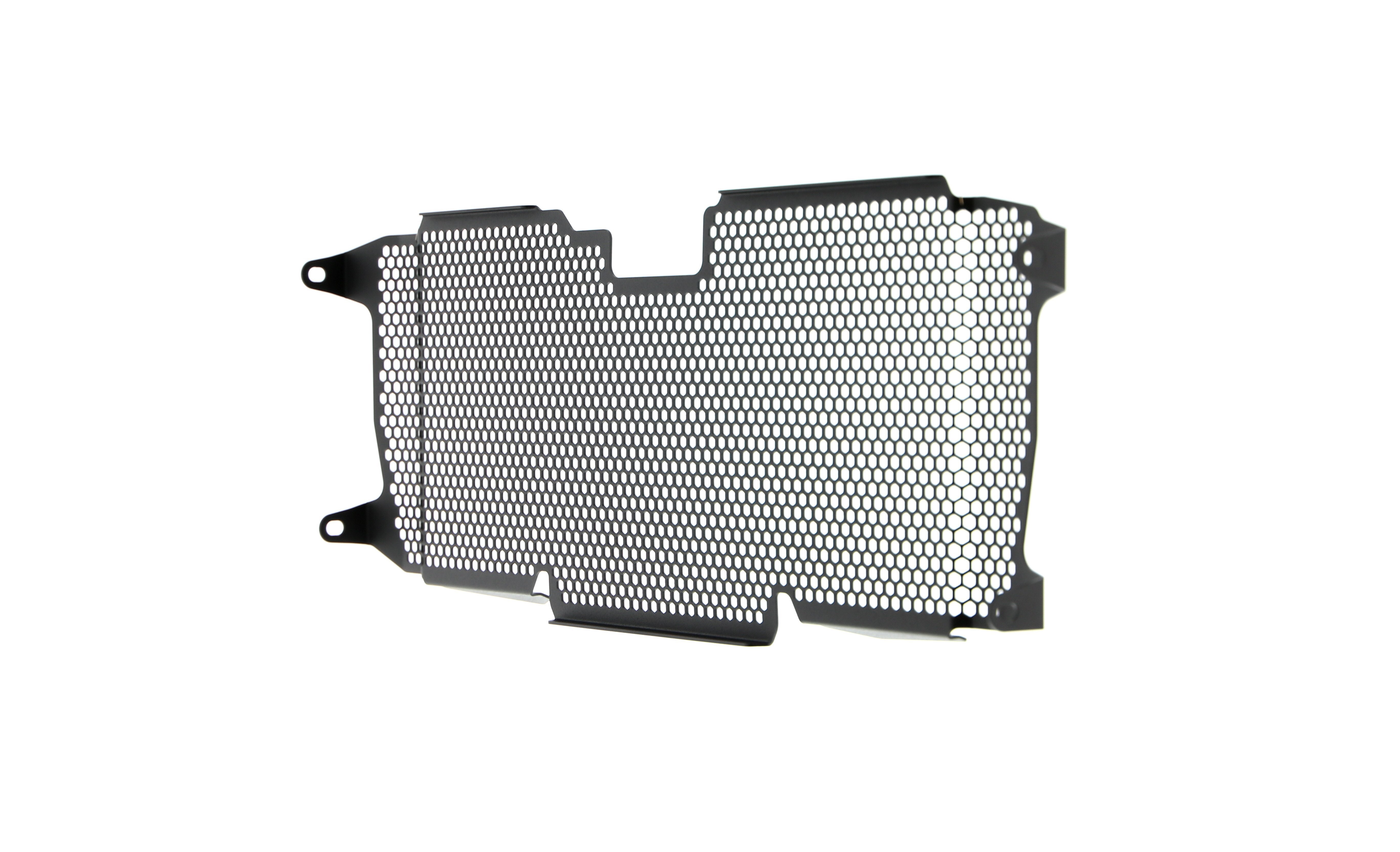 Evotech Radiator Guard - BMW R 1250 RS (2019 - 2021)