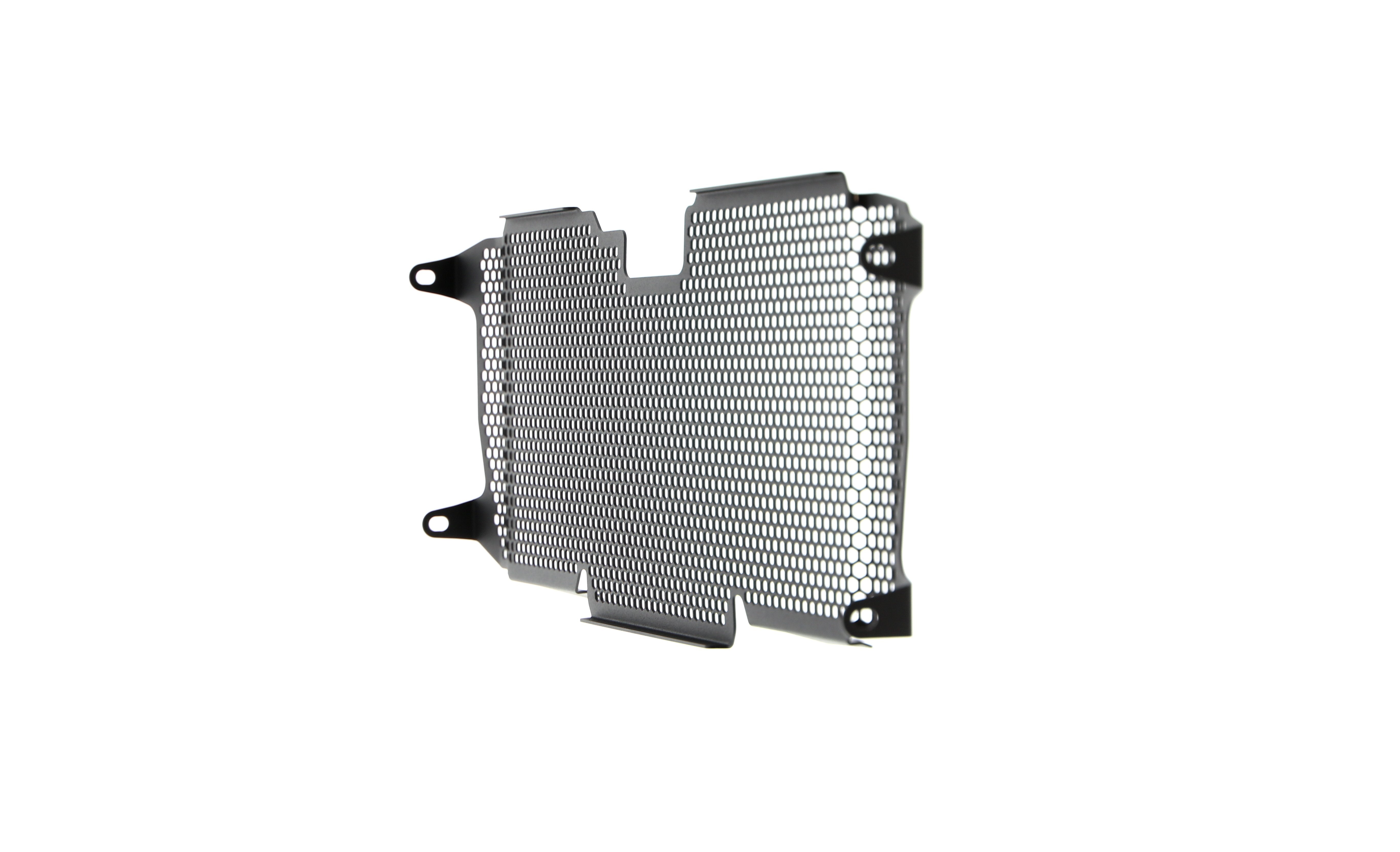 Evotech Radiator Guard - BMW R 1200 R (2015 - 2018)