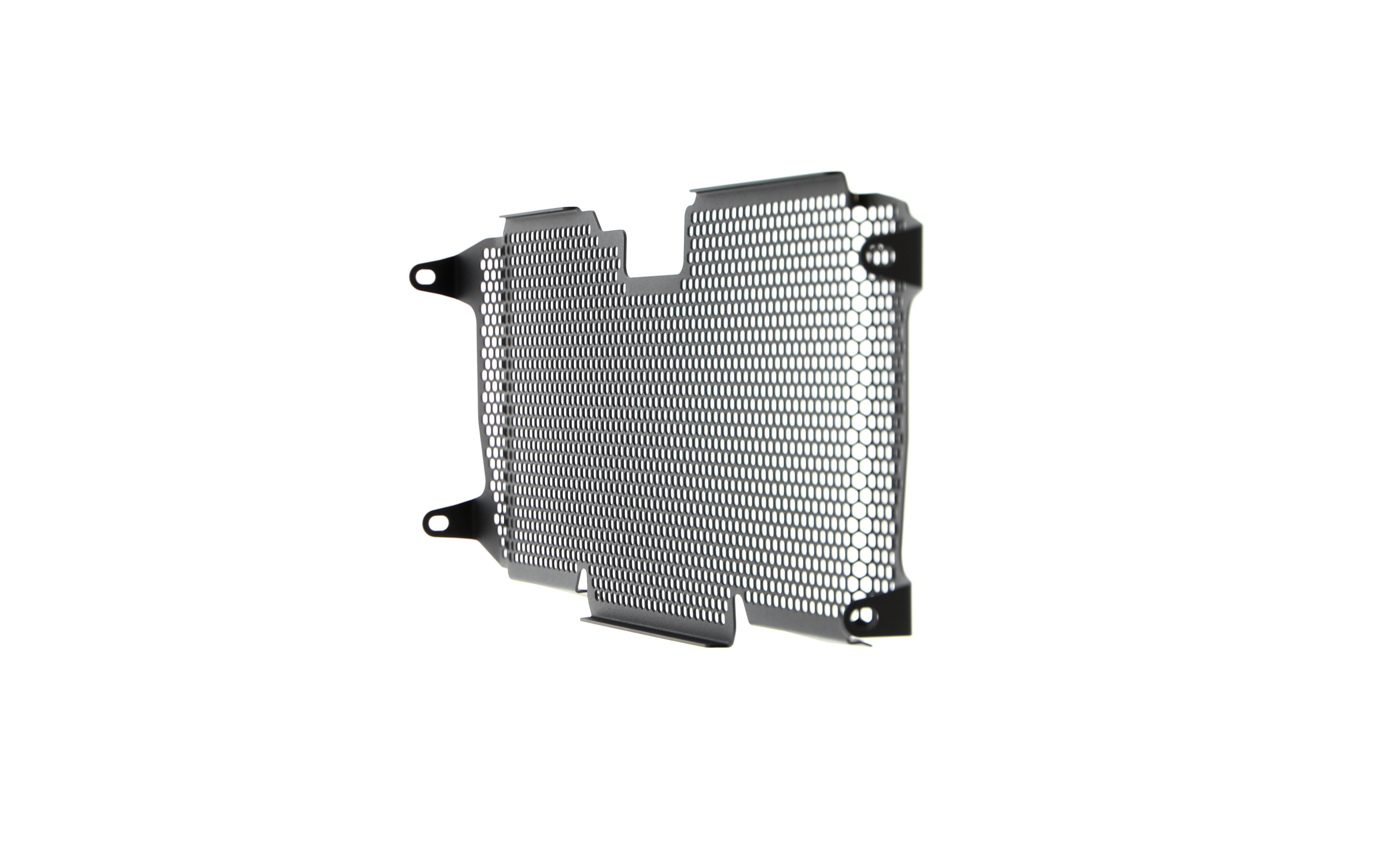 Evotech Radiator Guard - BMW R 1250 R (2019+)