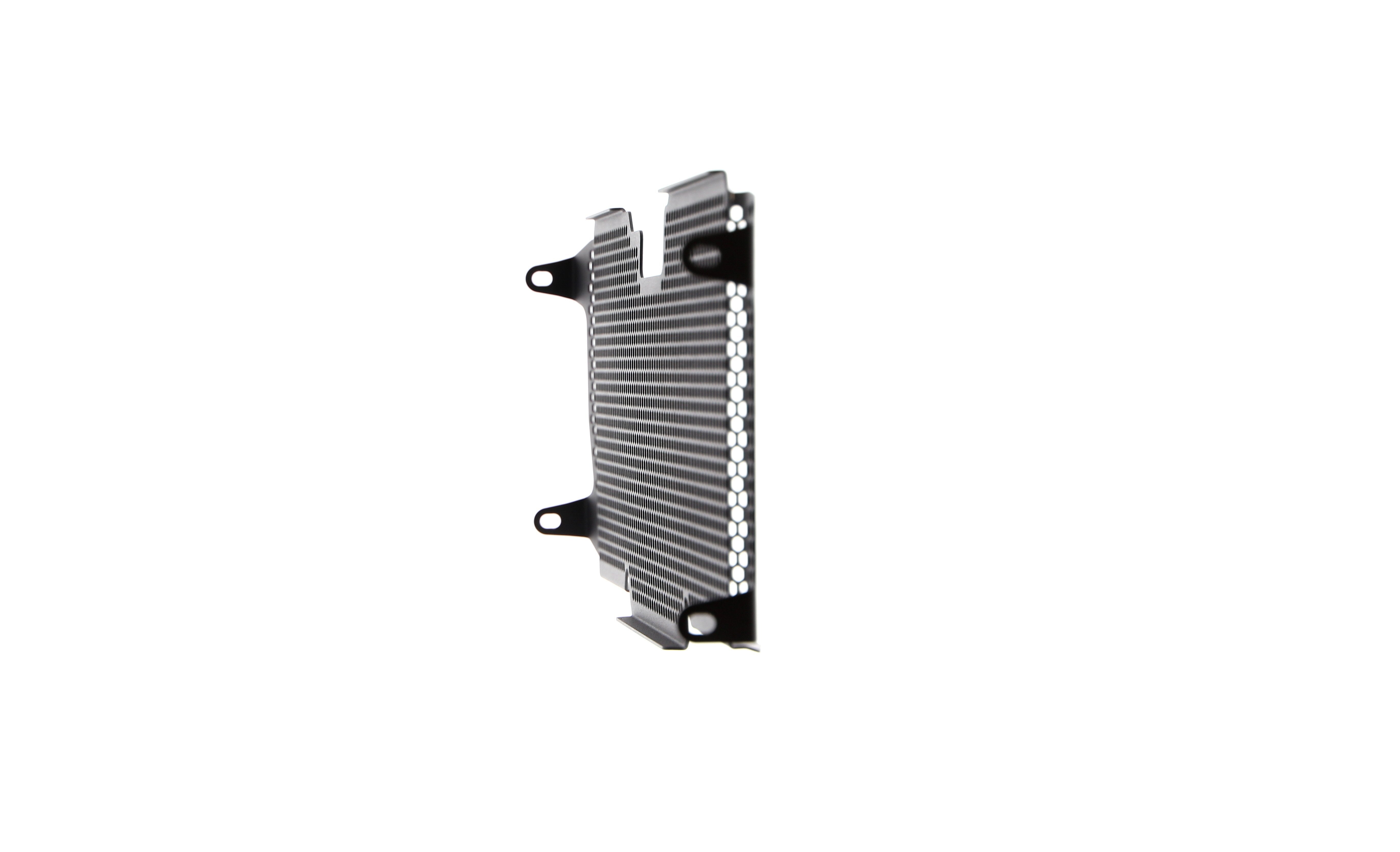 Evotech Radiator Guard - BMW R 1250 R (2019+)
