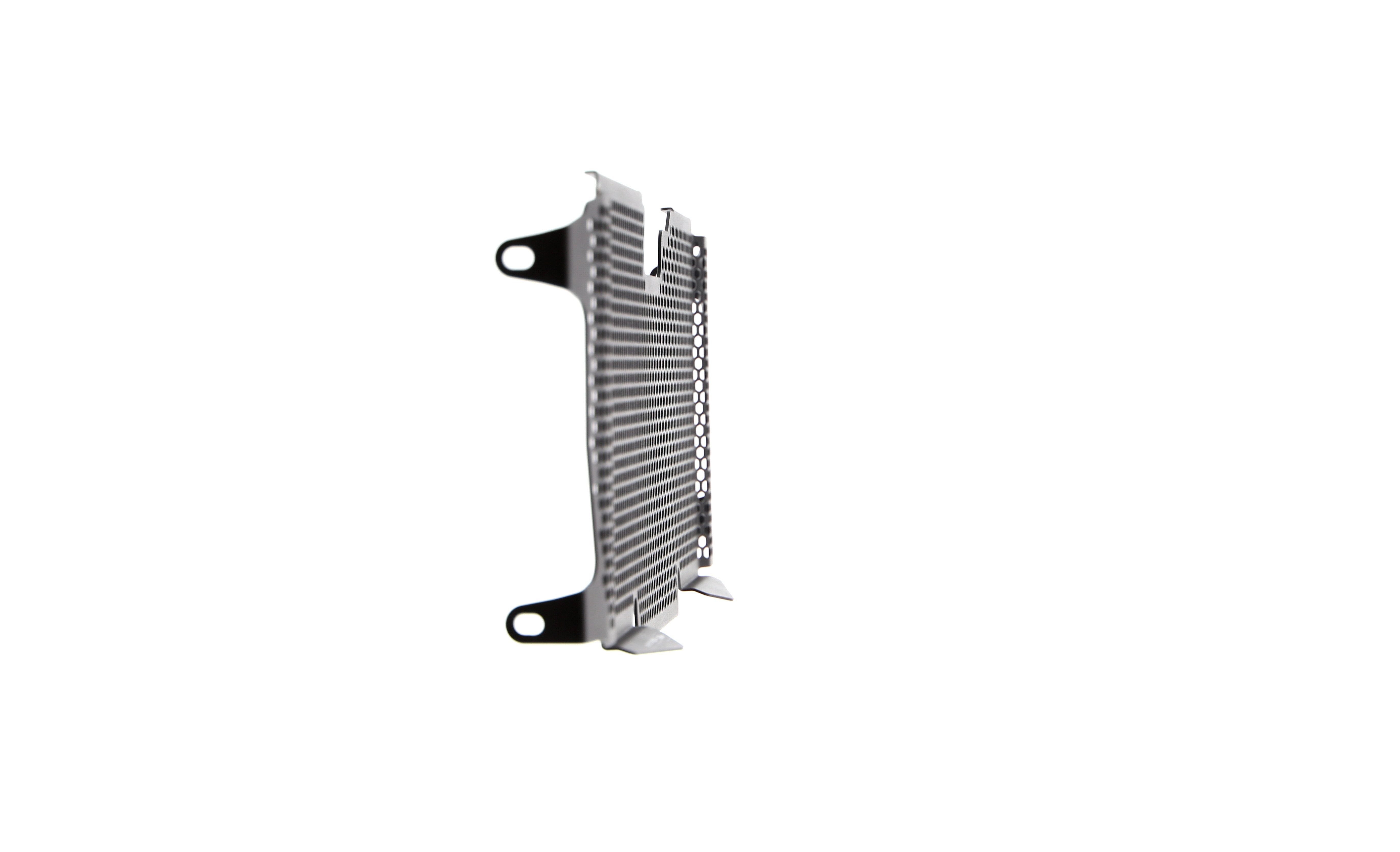 Evotech Radiator Guard - BMW R 1250 RS (2019 - 2021)