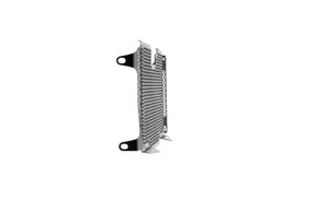 Evotech Radiator Guard - BMW R 1250 R (2019+)