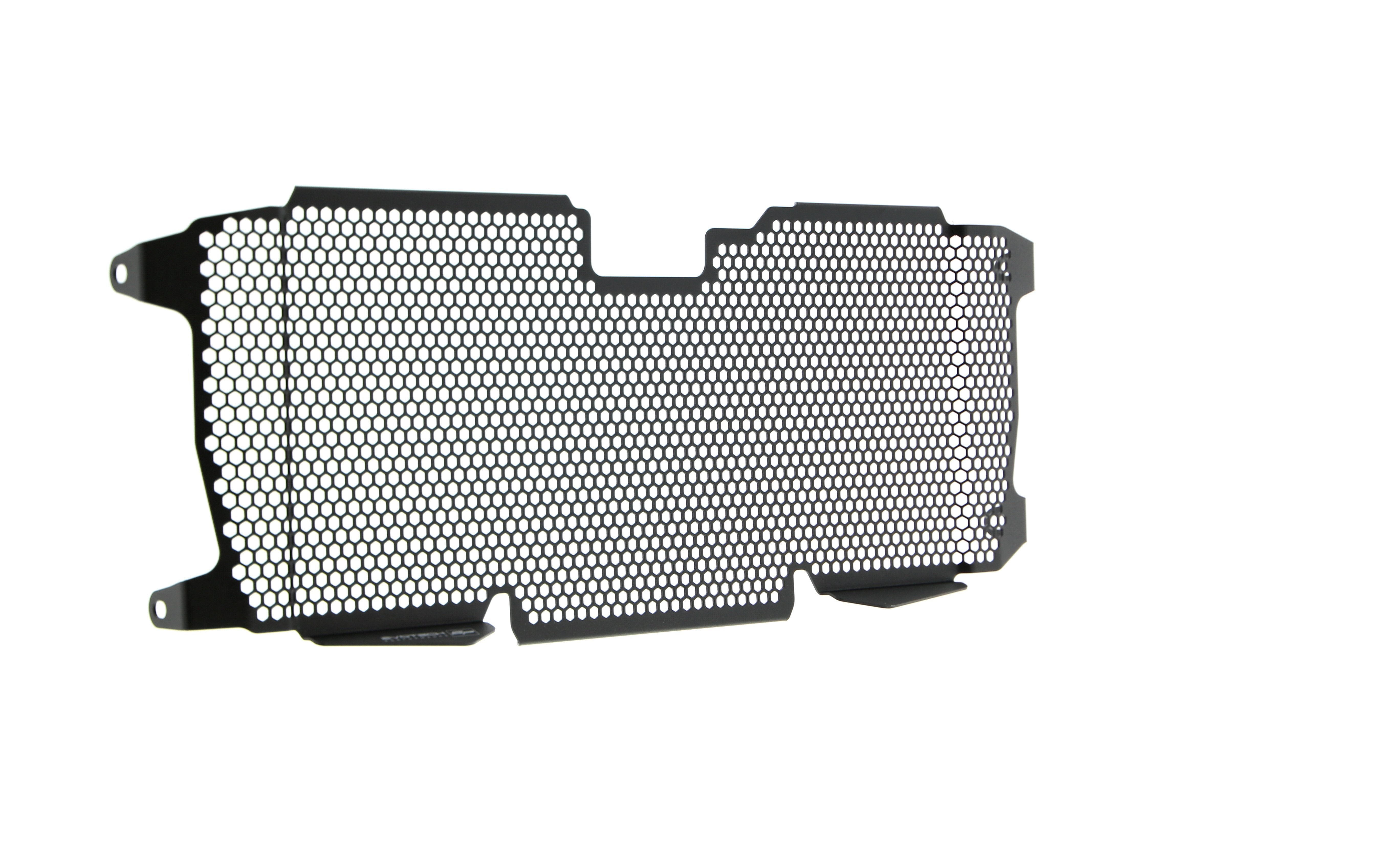 Evotech Radiator Guard - BMW R 1250 R Exclusive (2019+)