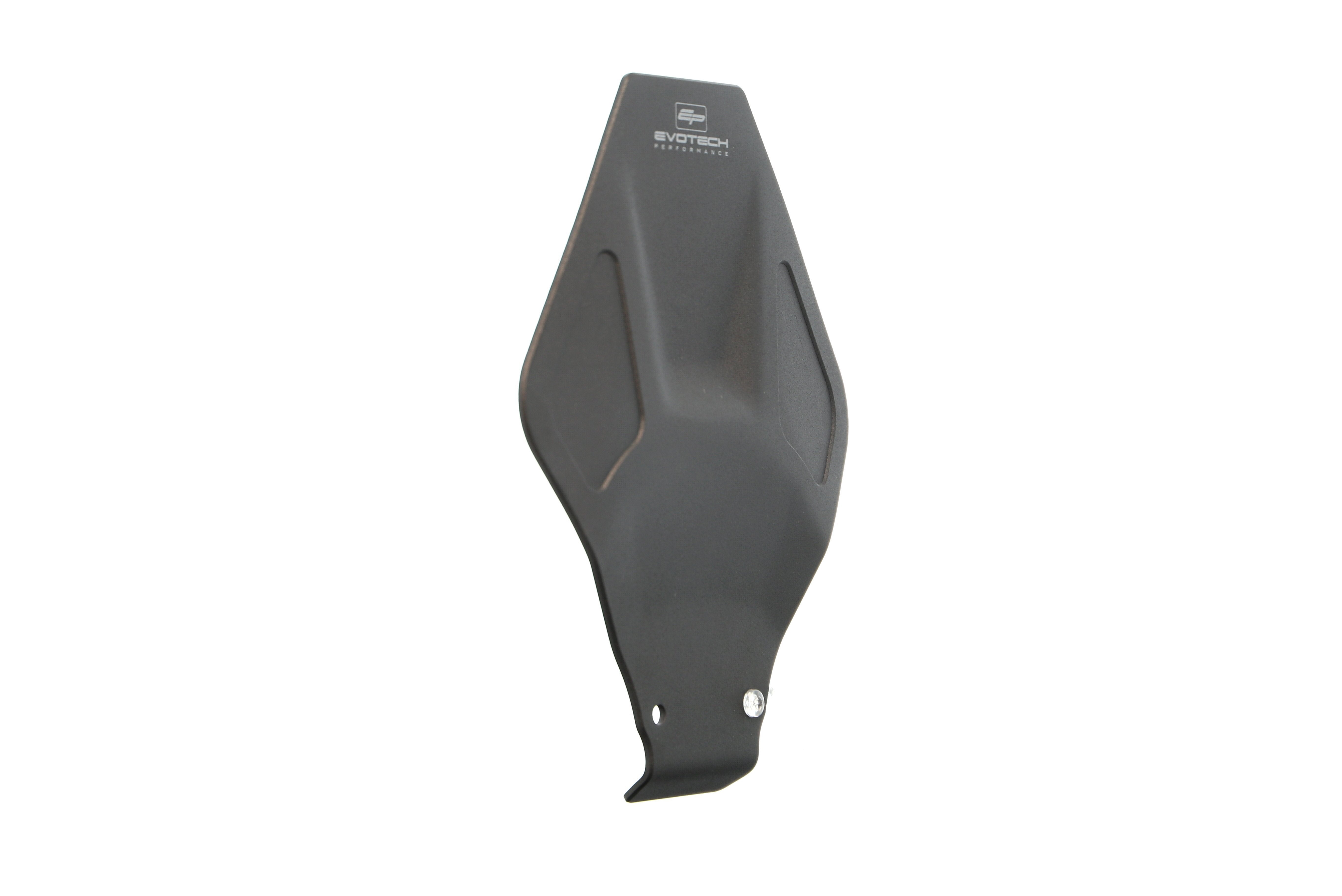 Evotech Engine Guard - BMW R 1250 GS (2019 - 2023)