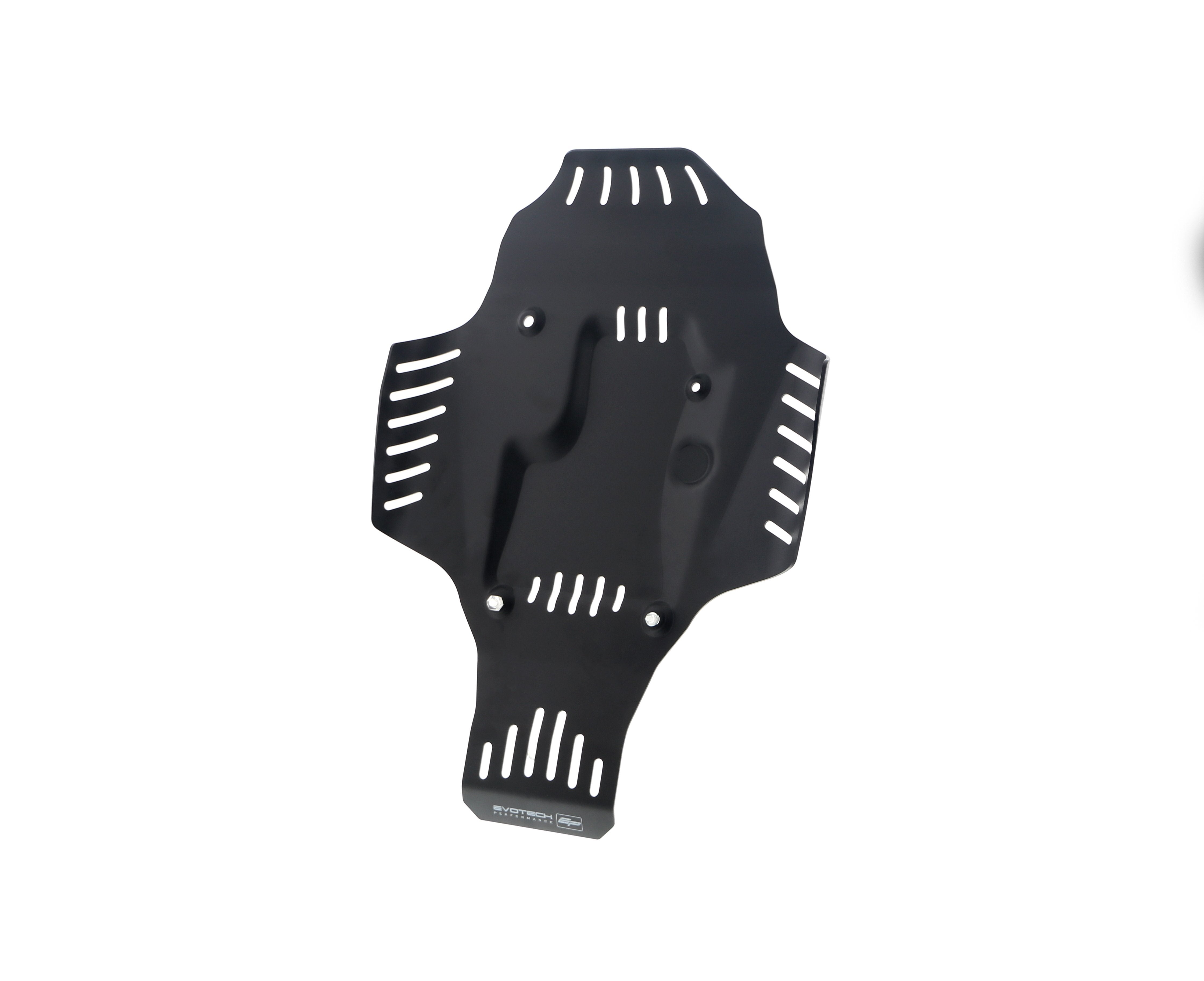 Evotech BMW R nineT Urban G/S - Edition 40 Years GS Racer Engine Guard (2021+)