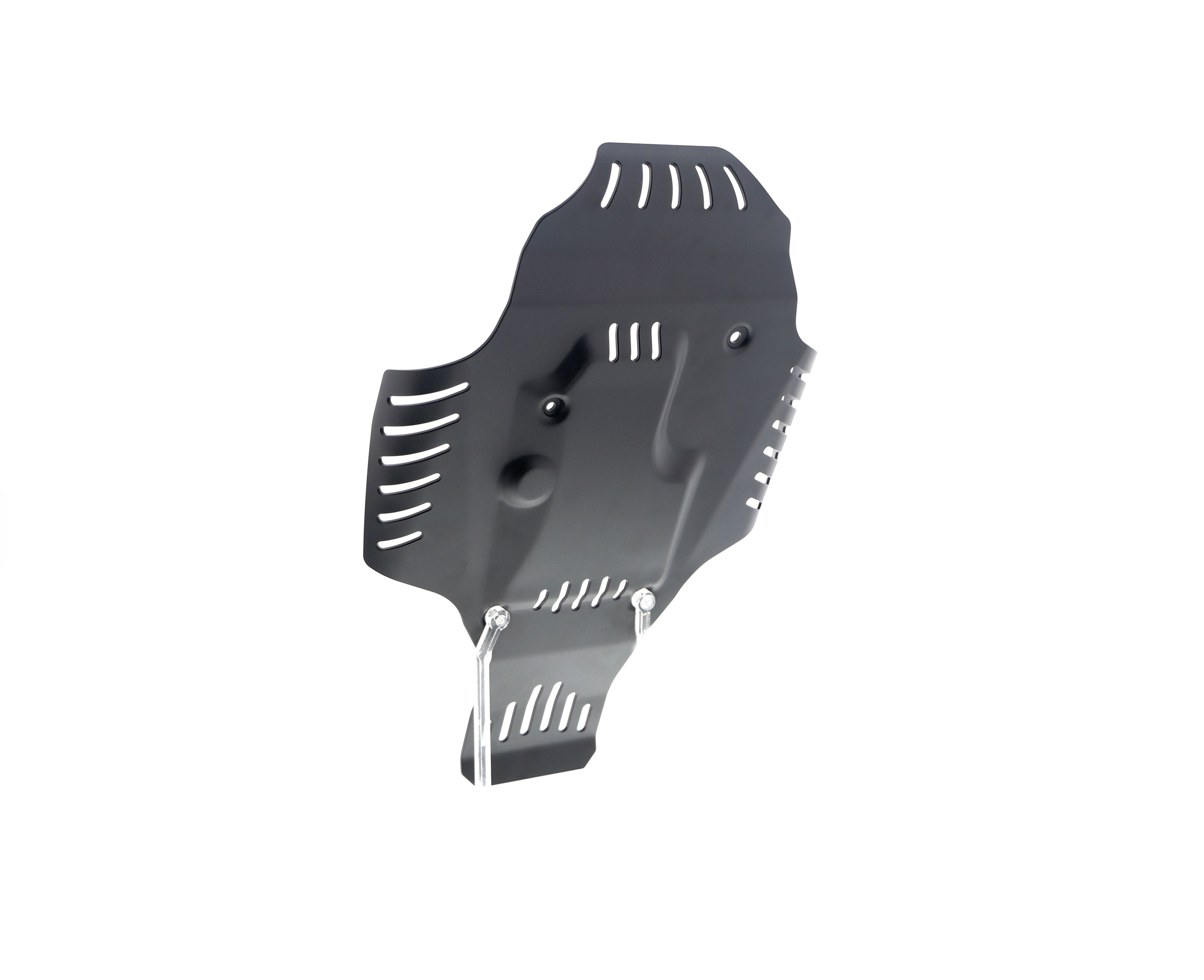Evotech BMW R nineT Urban G/S - Edition 40 Years GS Racer Engine Guard (2021+)