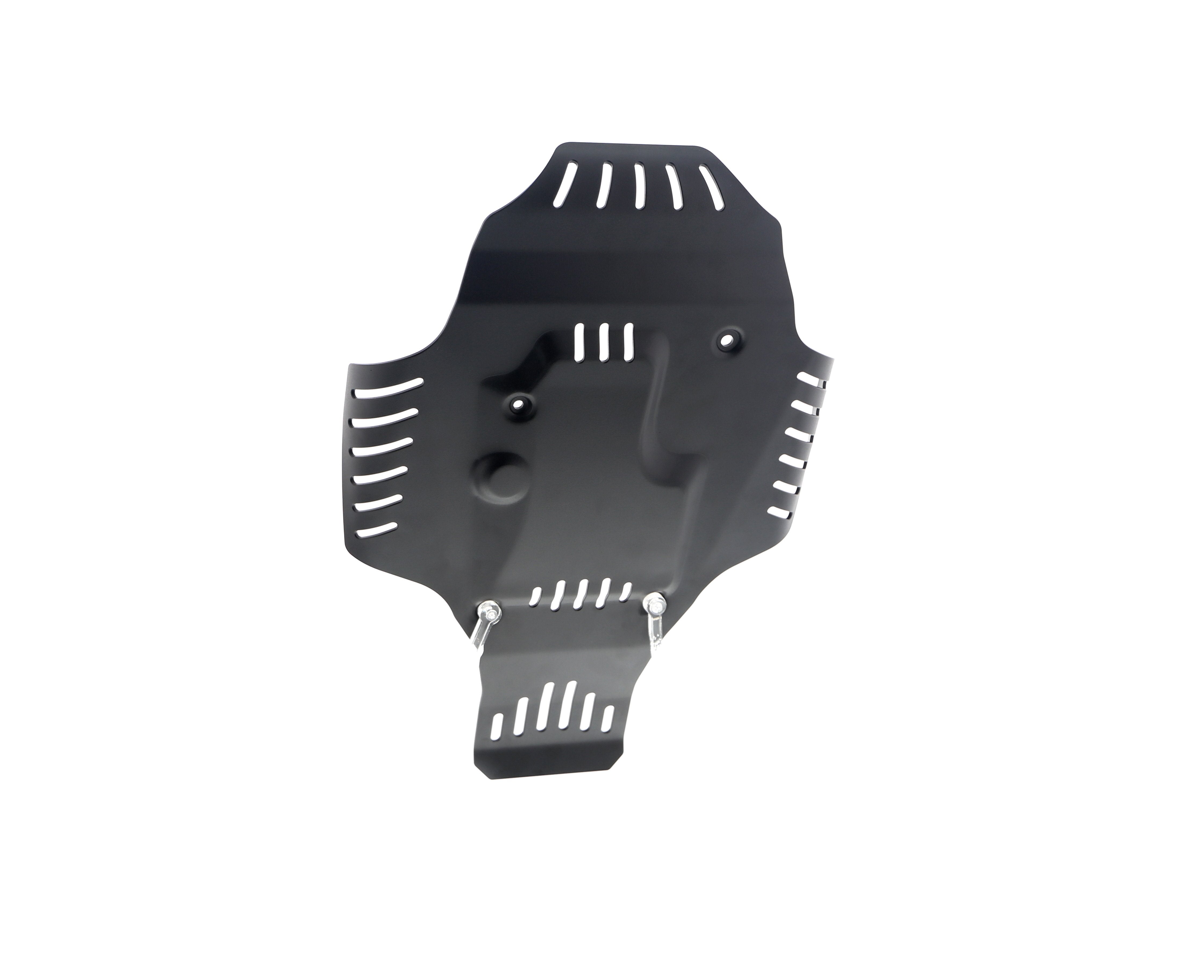 Evotech BMW R nineT Urban G/S - Edition 40 Years GS Racer Engine Guard (2021+)