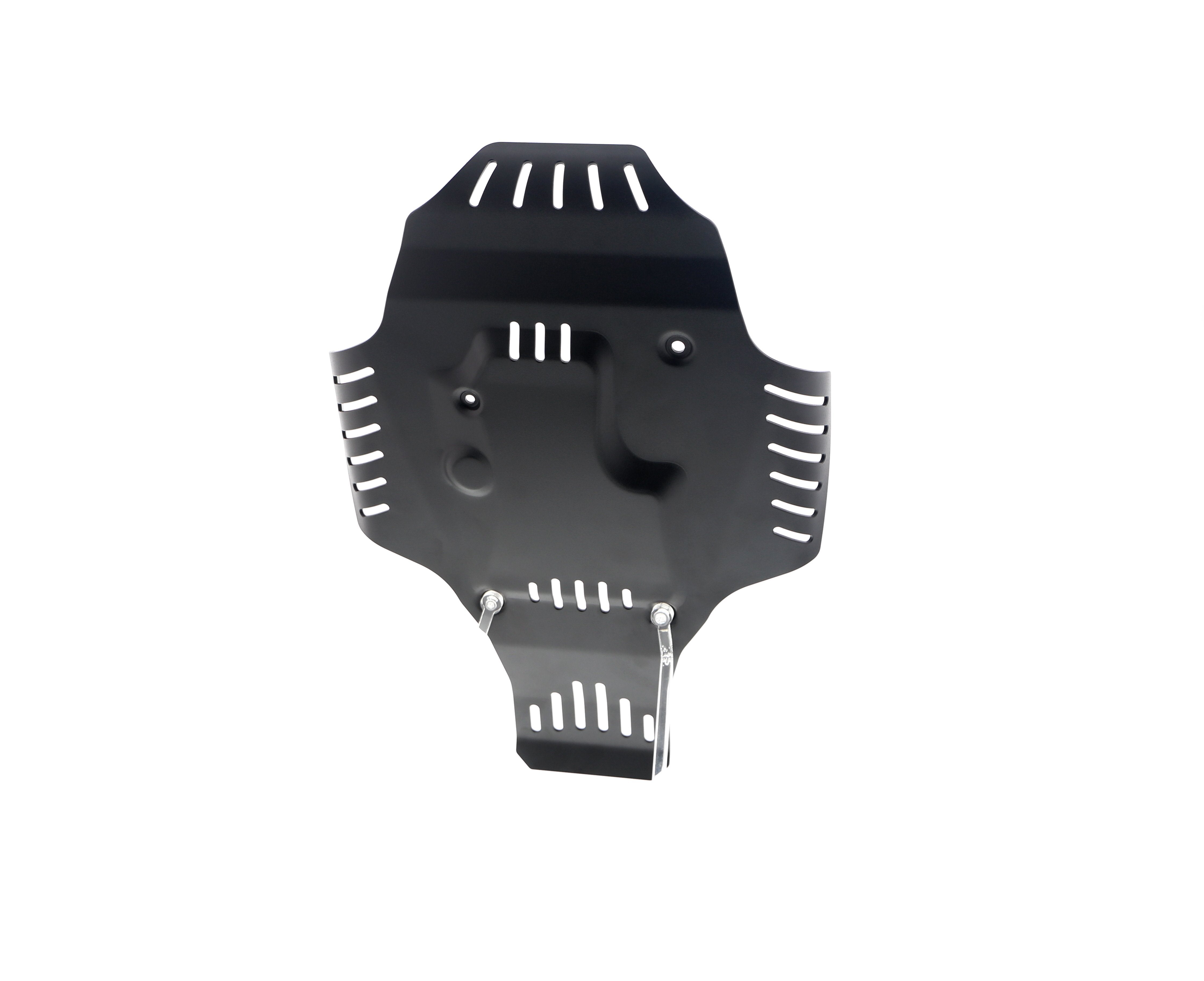 Evotech BMW R nineT Urban G/S - Edition 40 Years GS Racer Engine Guard (2021+)