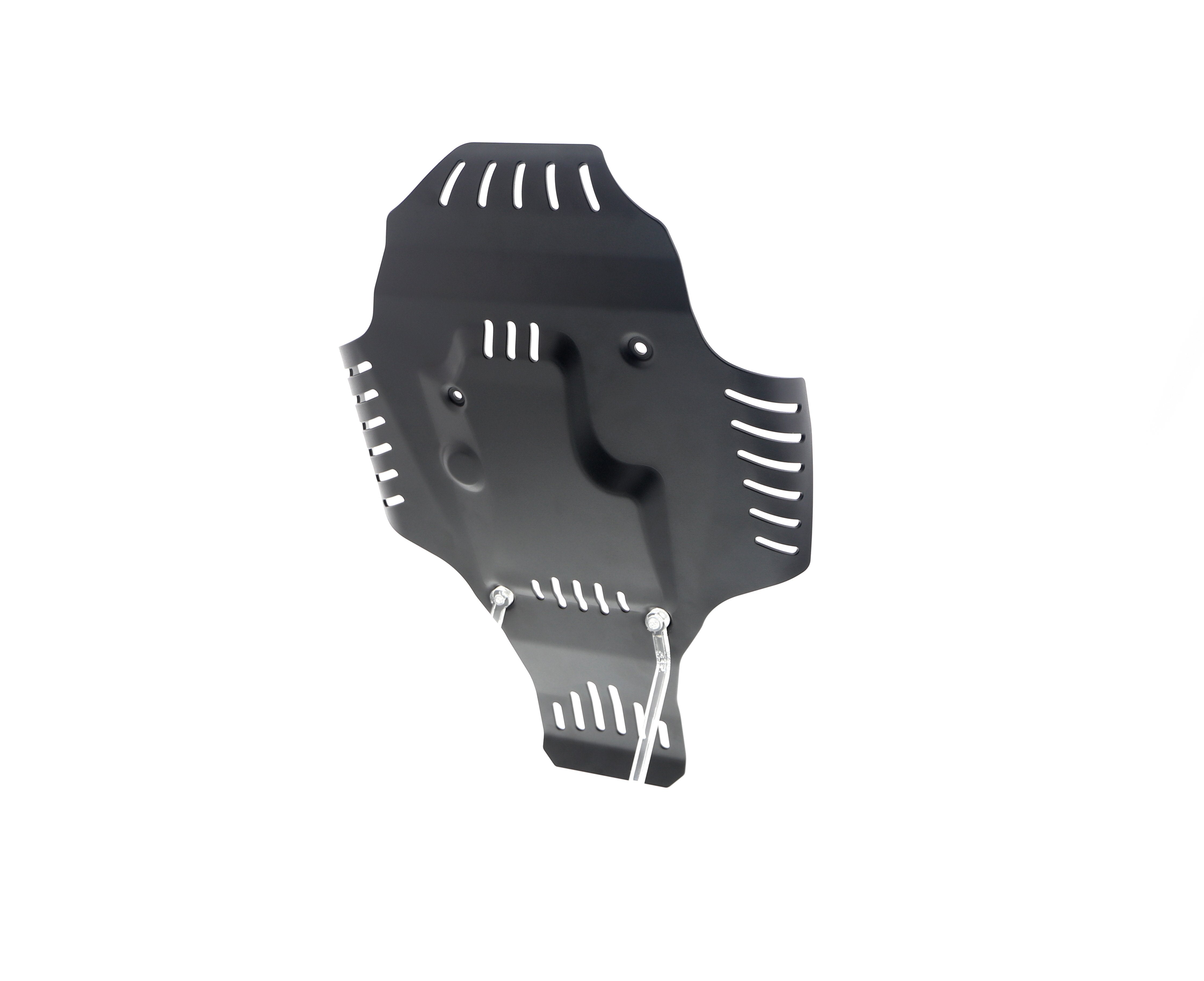Evotech BMW R nineT Urban G/S - Edition 40 Years GS Racer Engine Guard (2021+)