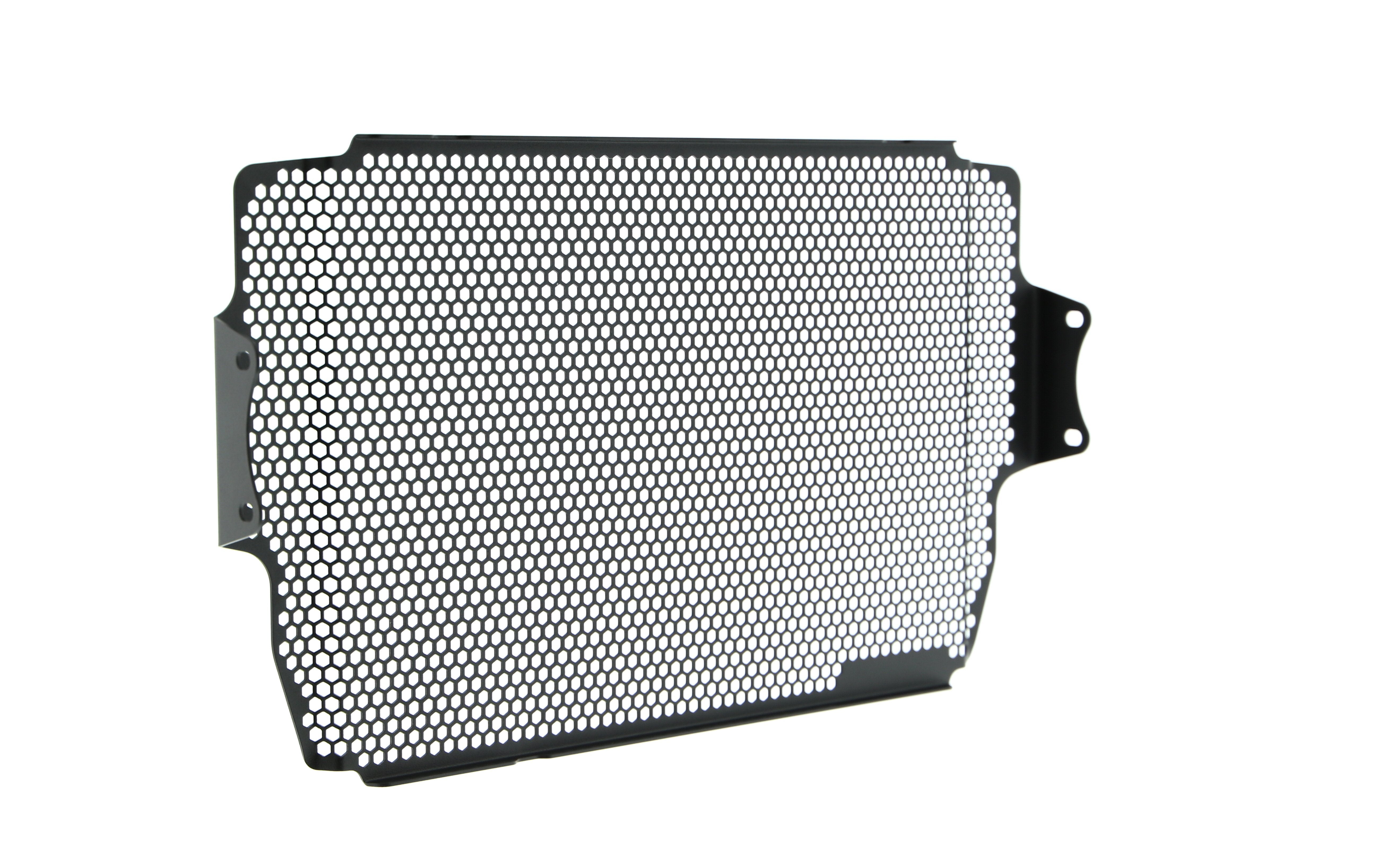 Evotech Ducati Multistrada 1260 Enduro Pro Radiator Guard (2019)