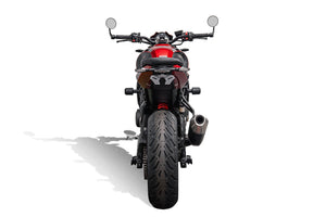 Evotech Tail Tidy (Clear Rear Light) - Triumph Trident 800 (2026+)