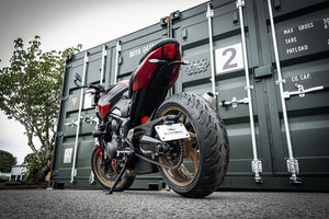 Triumph Trident 660 (2026+) Swingarm Mounted Tail Tidy