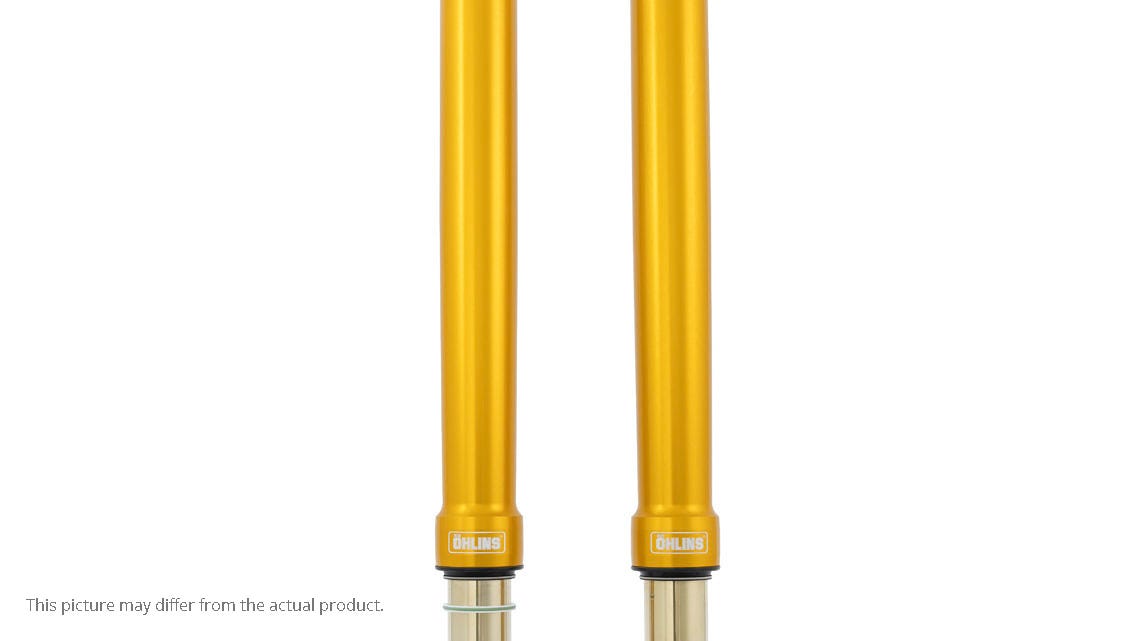 Front fork universal 50/54/800 gold (SET)